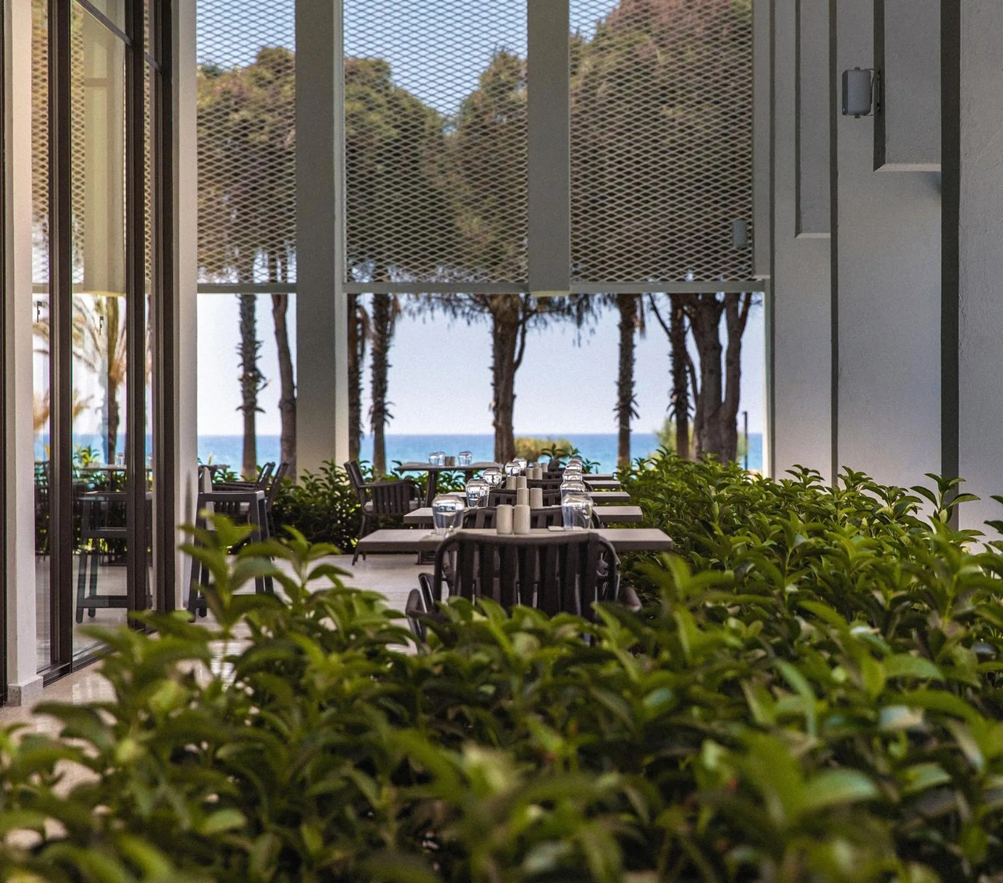 Restaurant/places to eat in Paloma Finesse Side