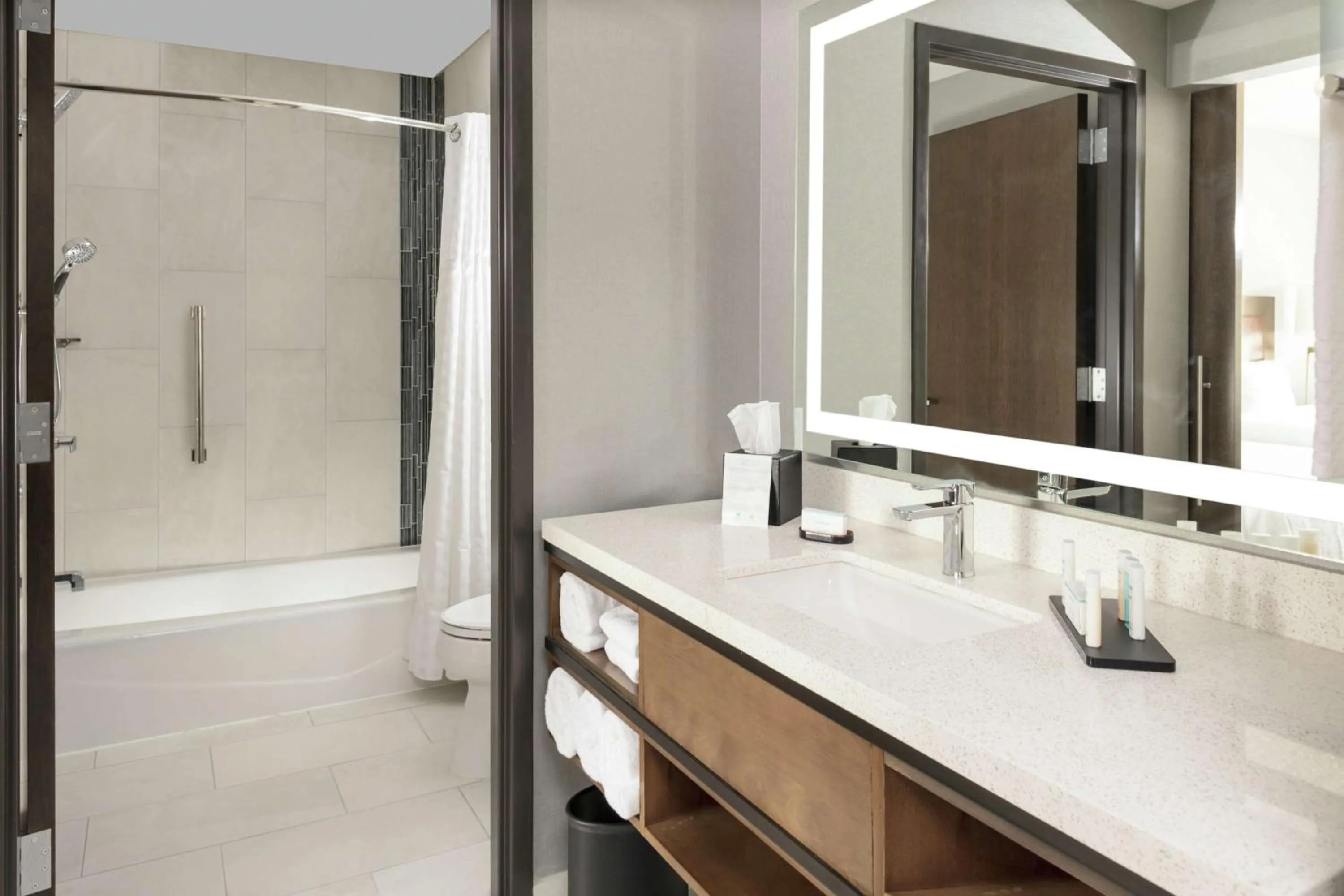 Bathroom in Embassy Suites By Hilton Grand Rapids Downtown