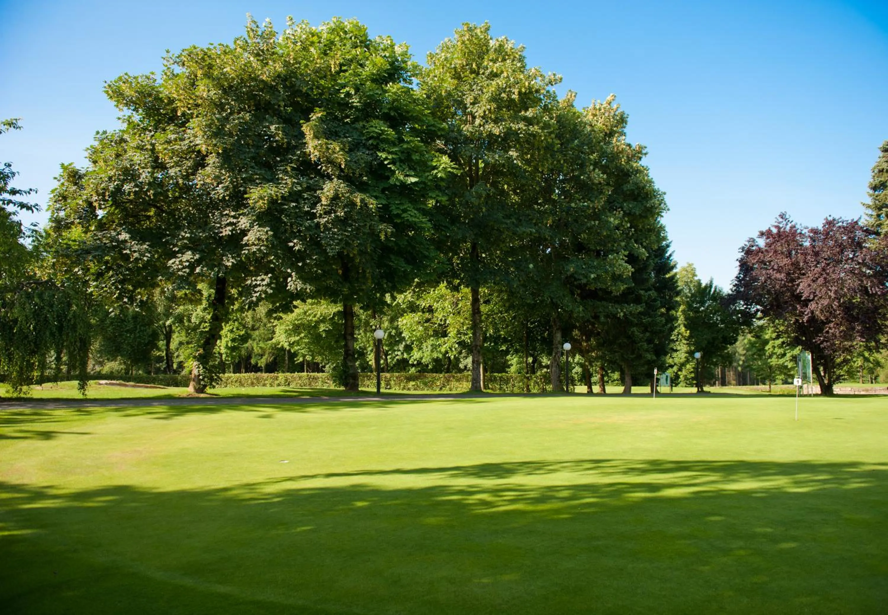 Garden in Das Vesper
