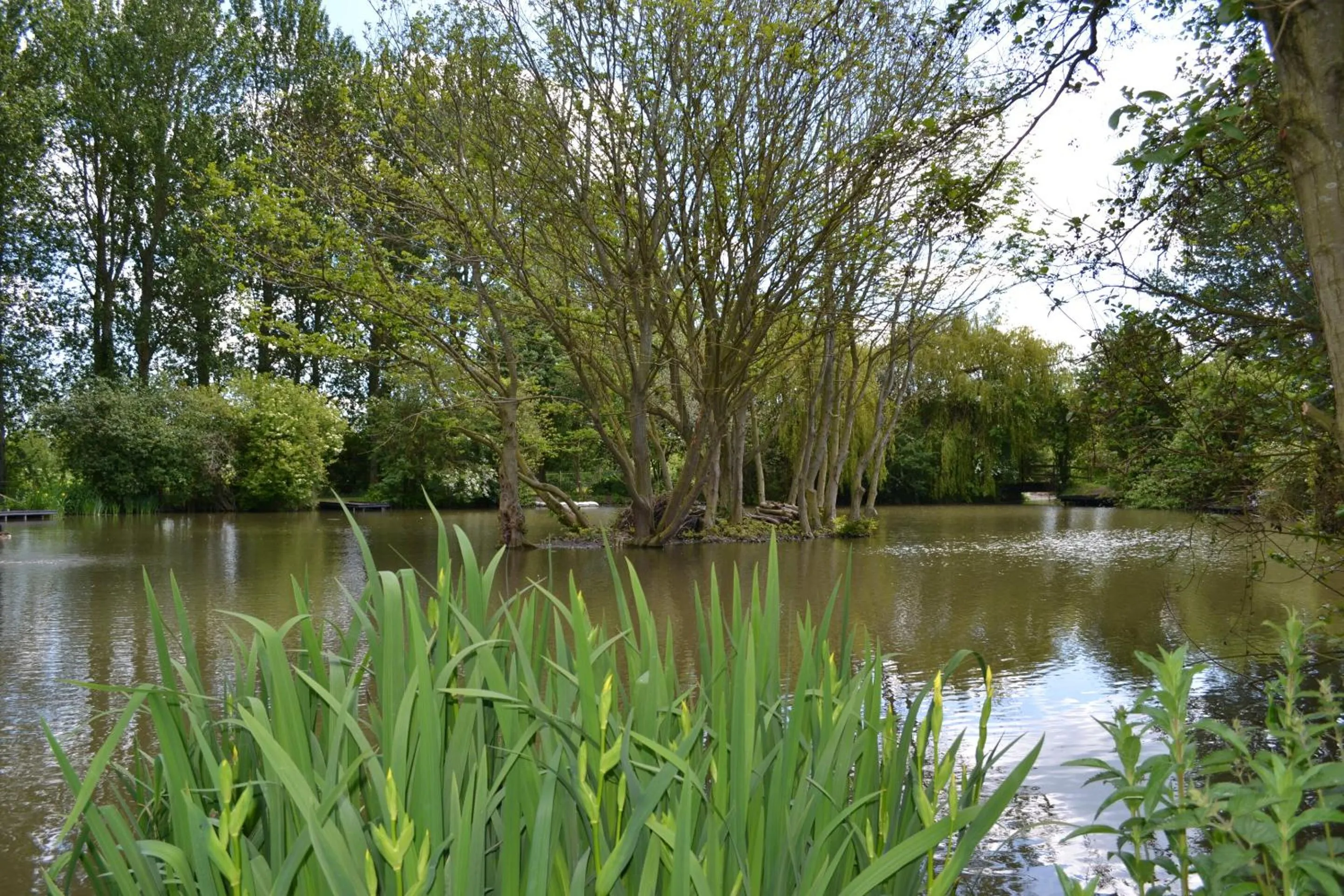 View (from property/room) in The Chiltern Lodges at Upper Farm Henton
