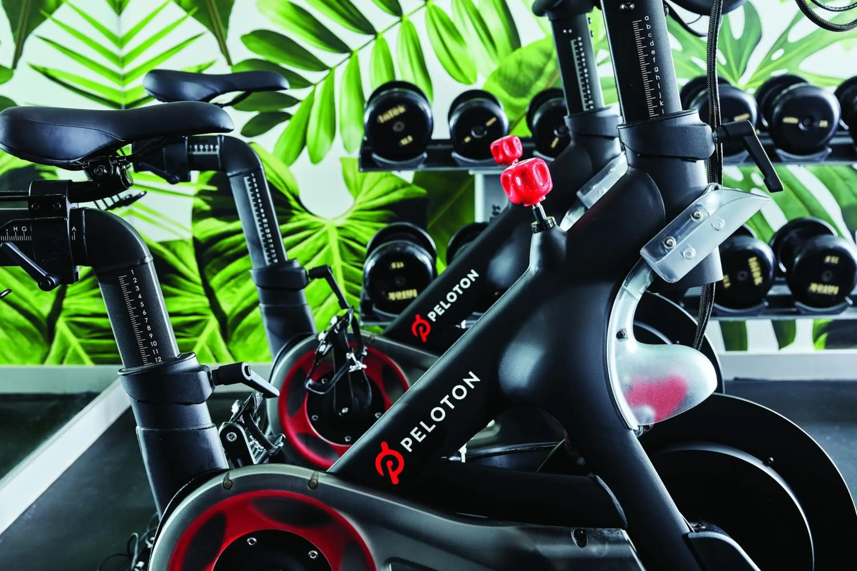 Fitness centre/facilities in Hotel Seville NoMad - The Unbound Collection by Hyatt Fitness centre/facilities in Hotel Seville NoMad - The Unbound Collection by Hyatt