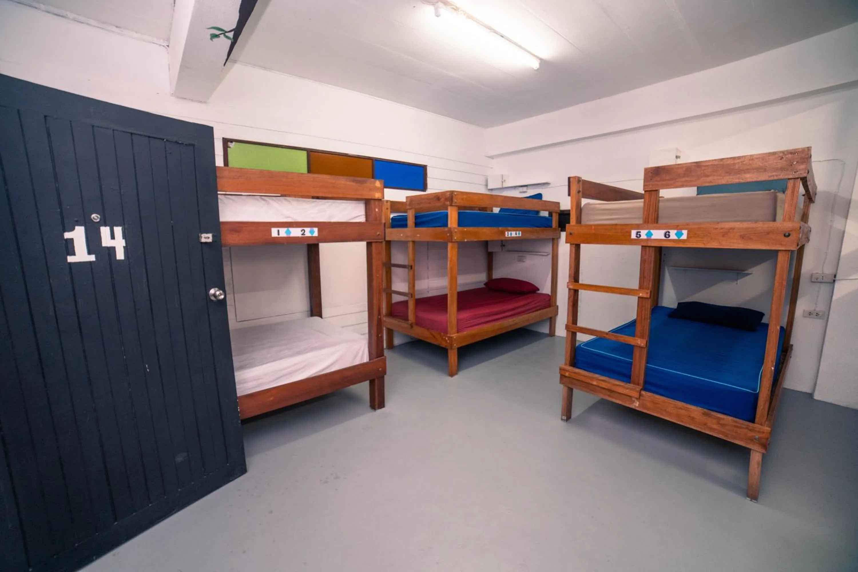 Bed in Phangan Arena Hostel