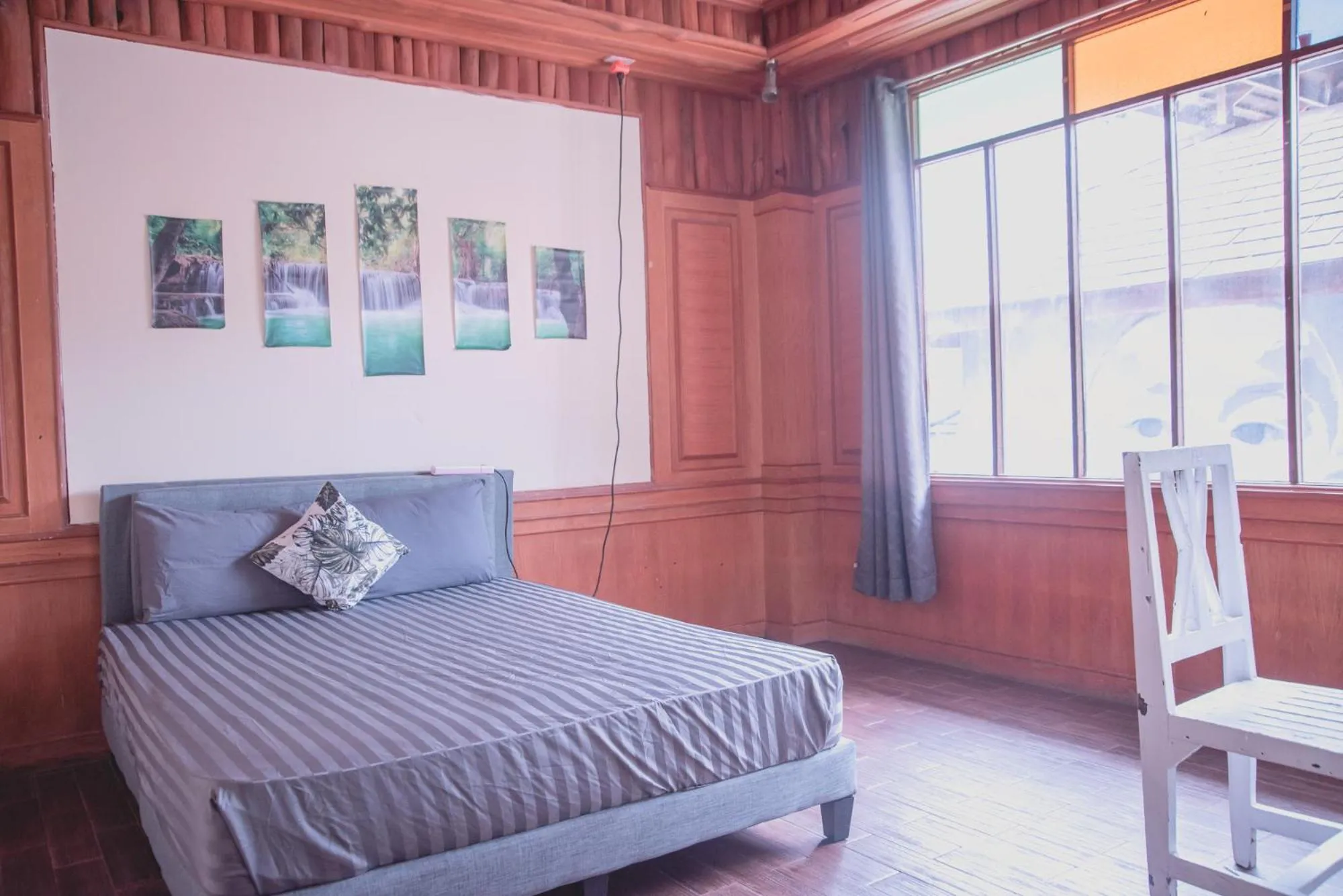 Bed in Phangan Arena Hostel