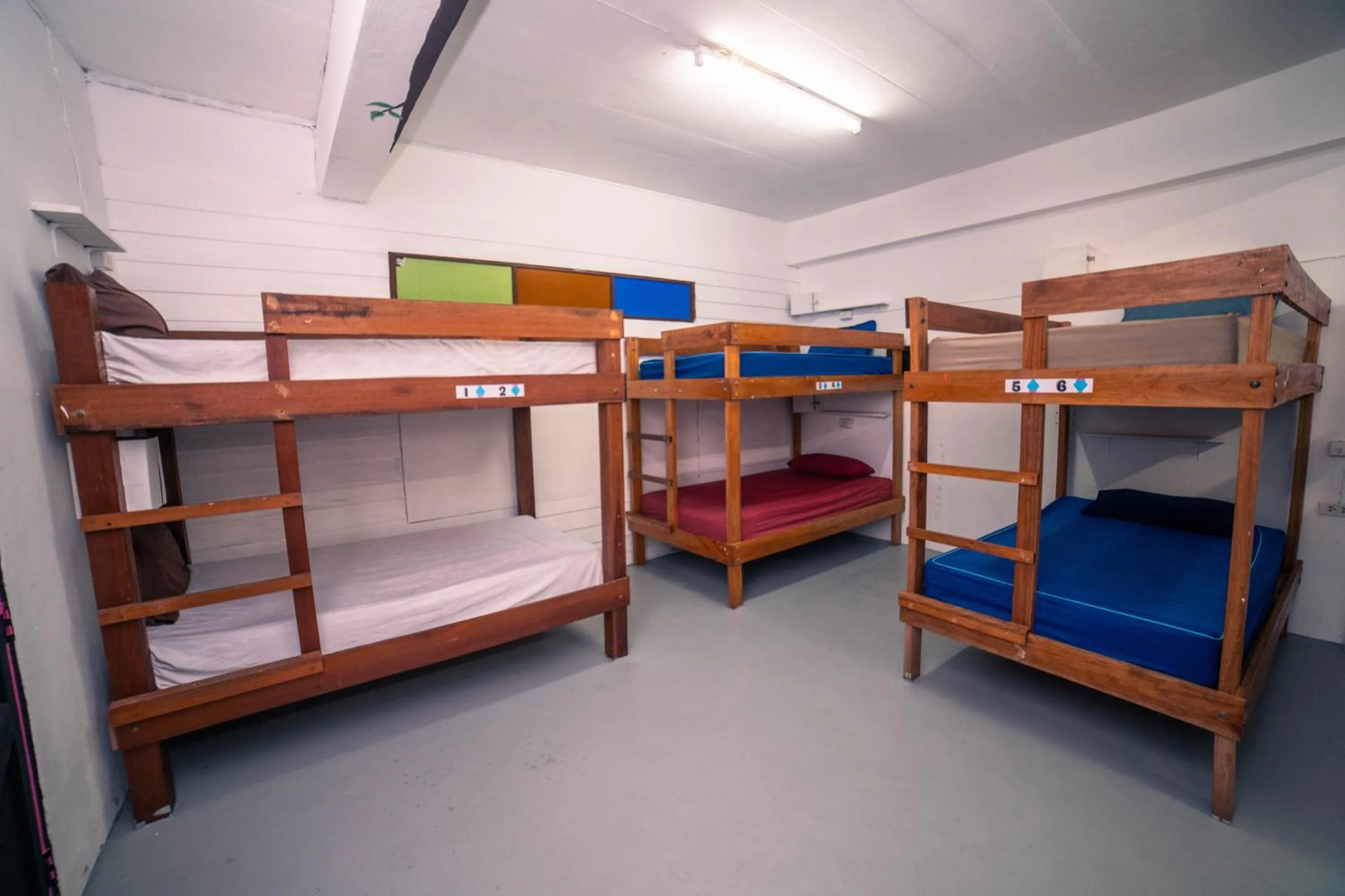 Bed in Phangan Arena Hostel