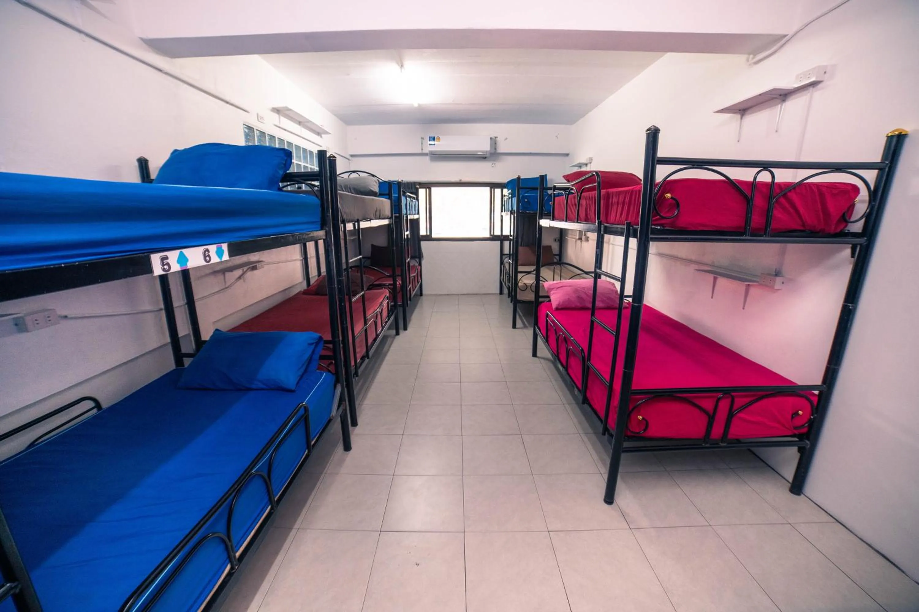 Bed in Phangan Arena Hostel