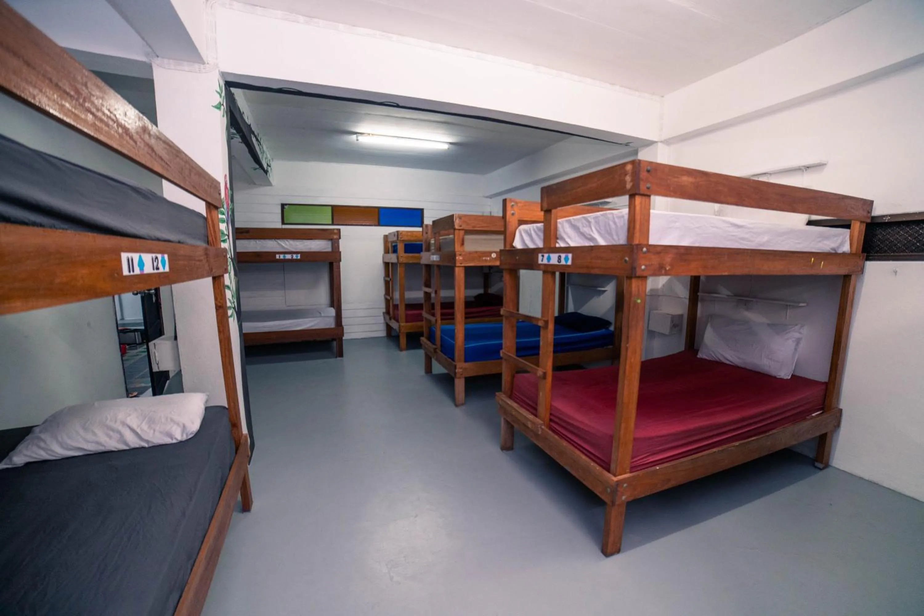 Bed in Phangan Arena Hostel