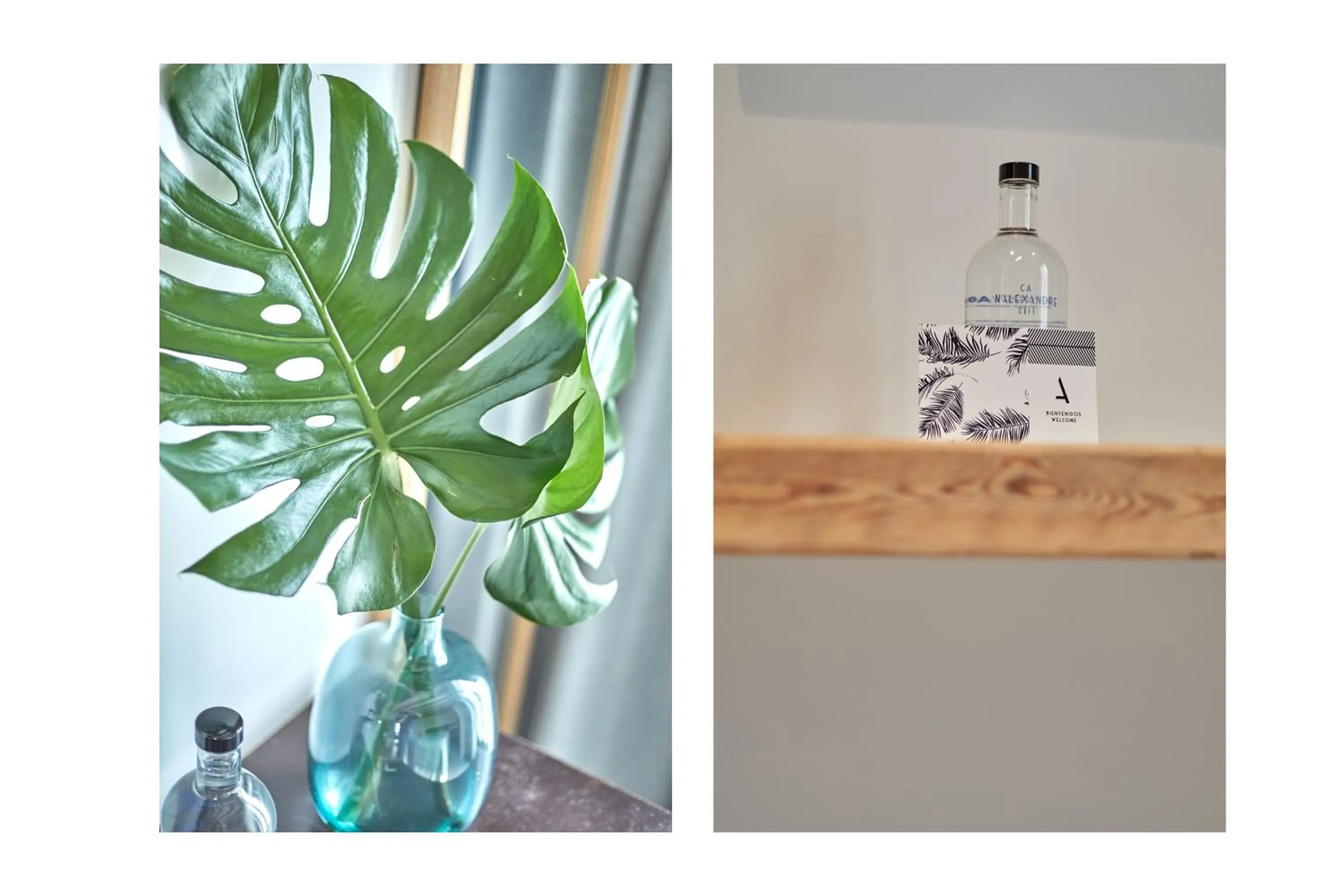 Property building in Ca n'Alexandre - Adults Only