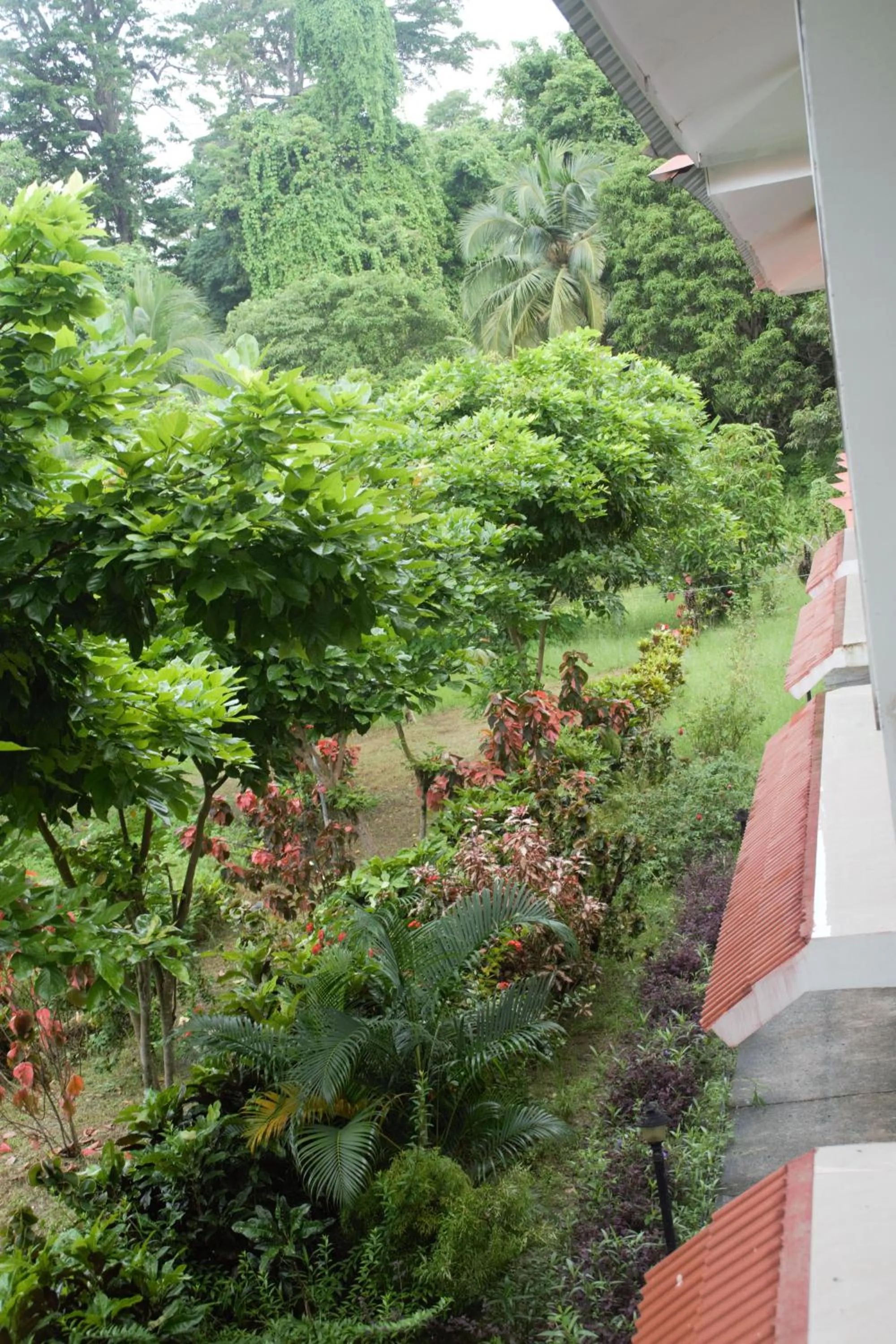 Hotel Exotica Squares