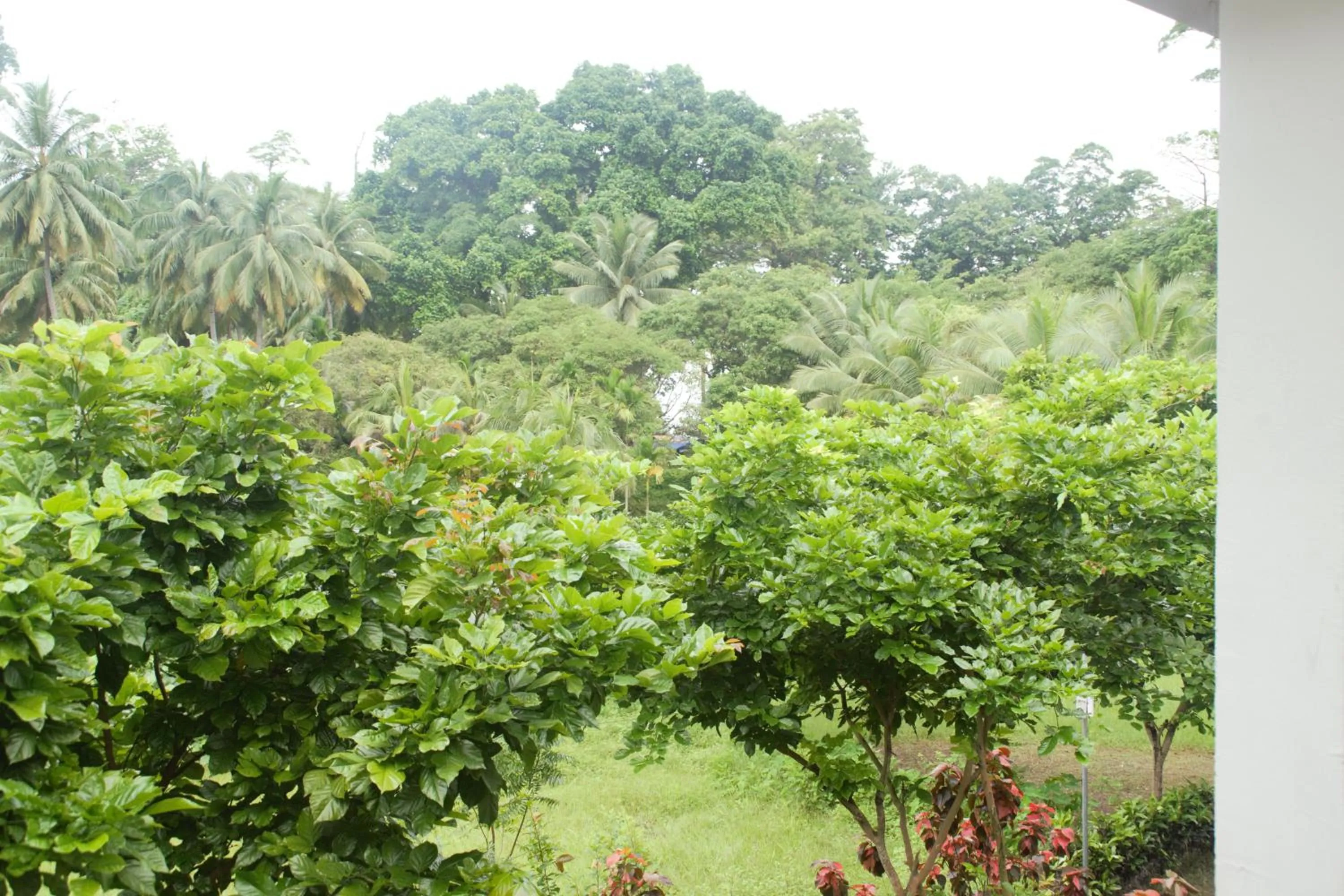 Hotel Exotica Squares