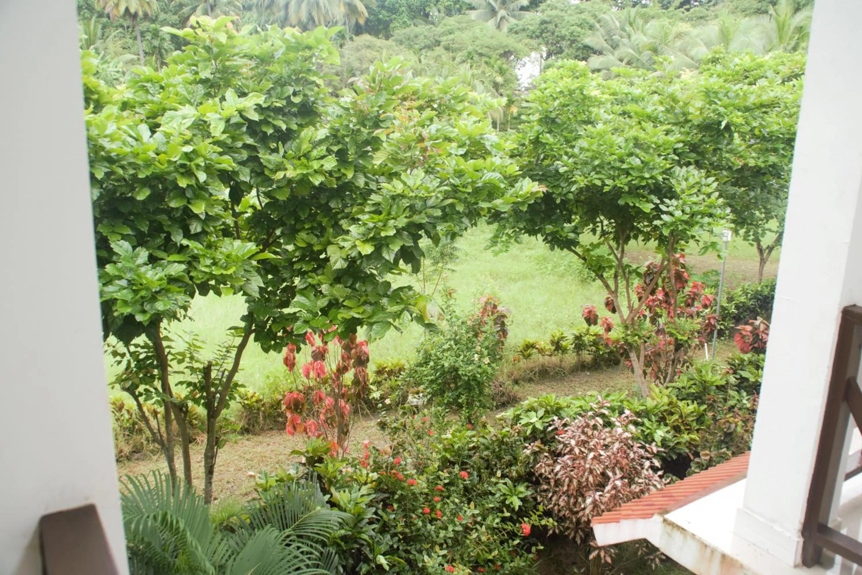 Hotel Exotica Squares