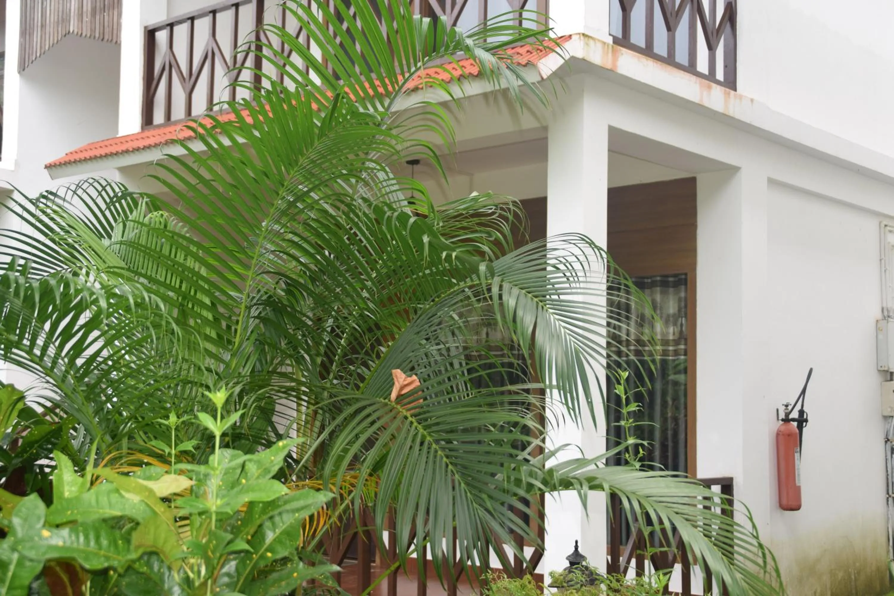 Hotel Exotica Squares