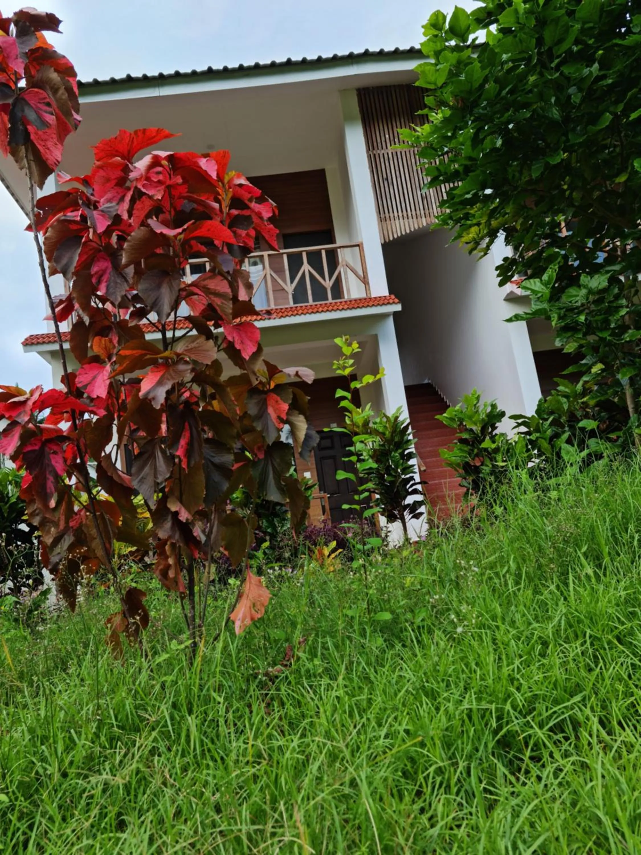 Garden in Hotel Exotica Squares