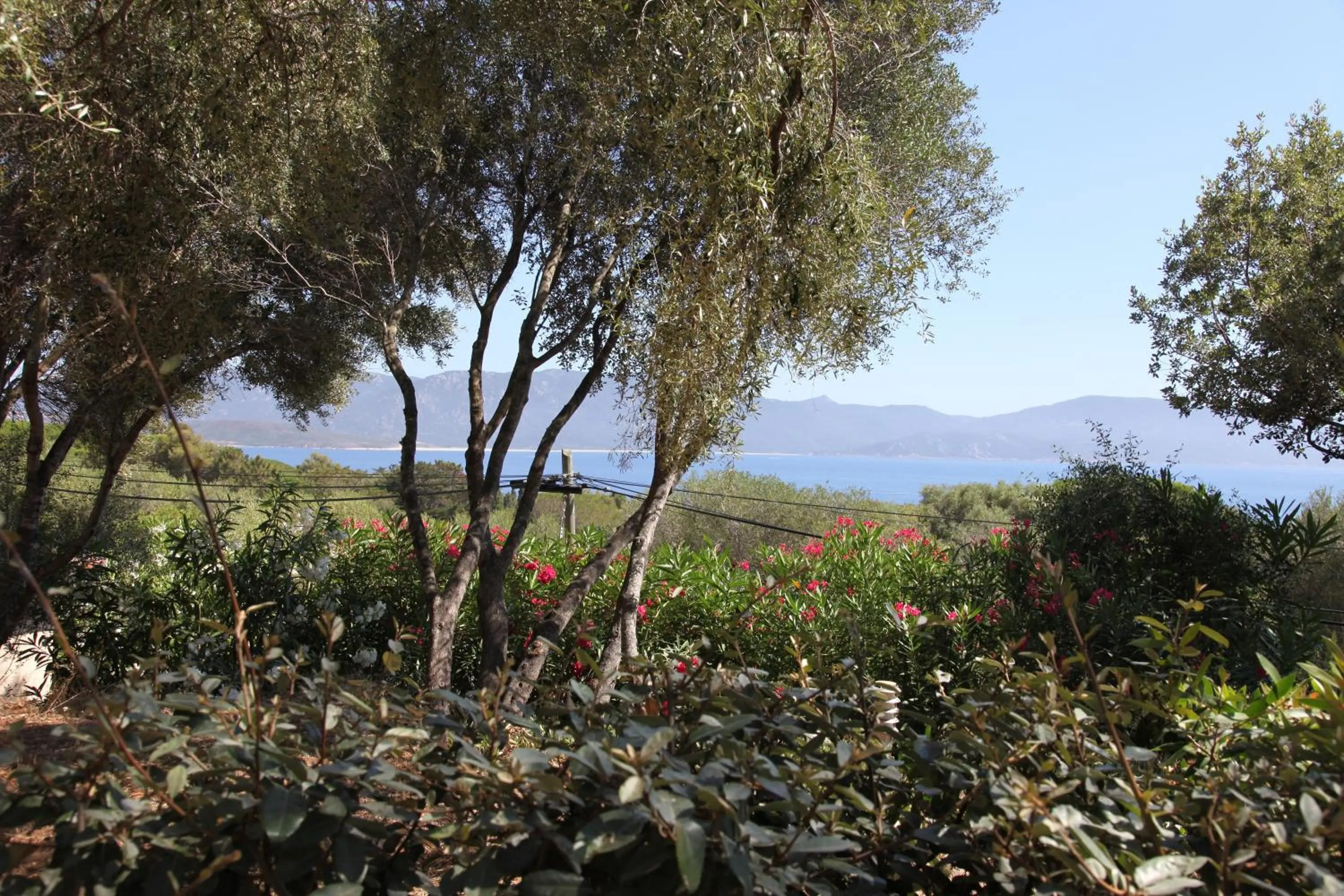 View (from property/room) in Résidence Ogliastrello