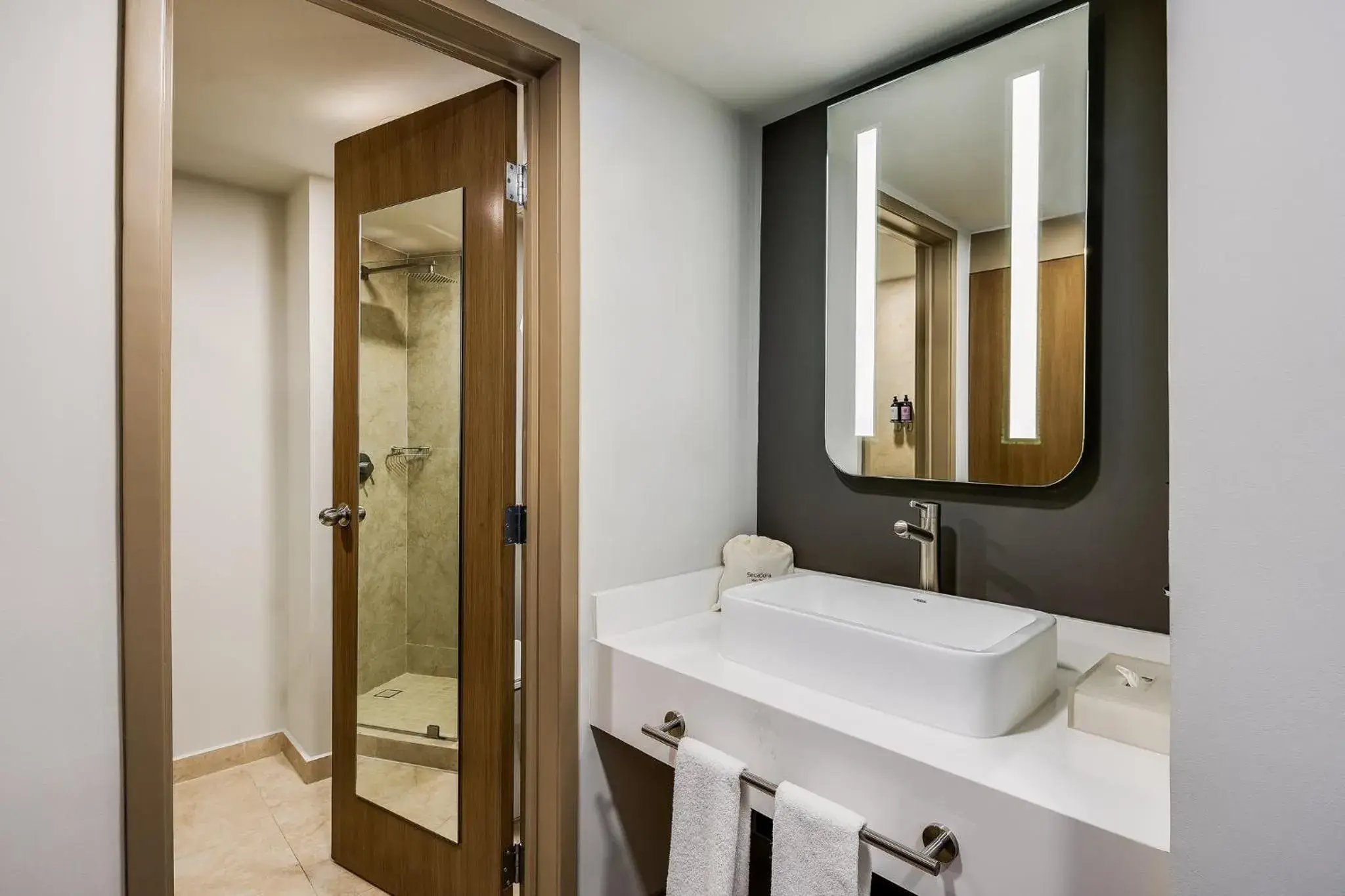 Bathroom in Fiesta Inn Monterrey Valle Bathroom in Fiesta Inn Monterrey Valle