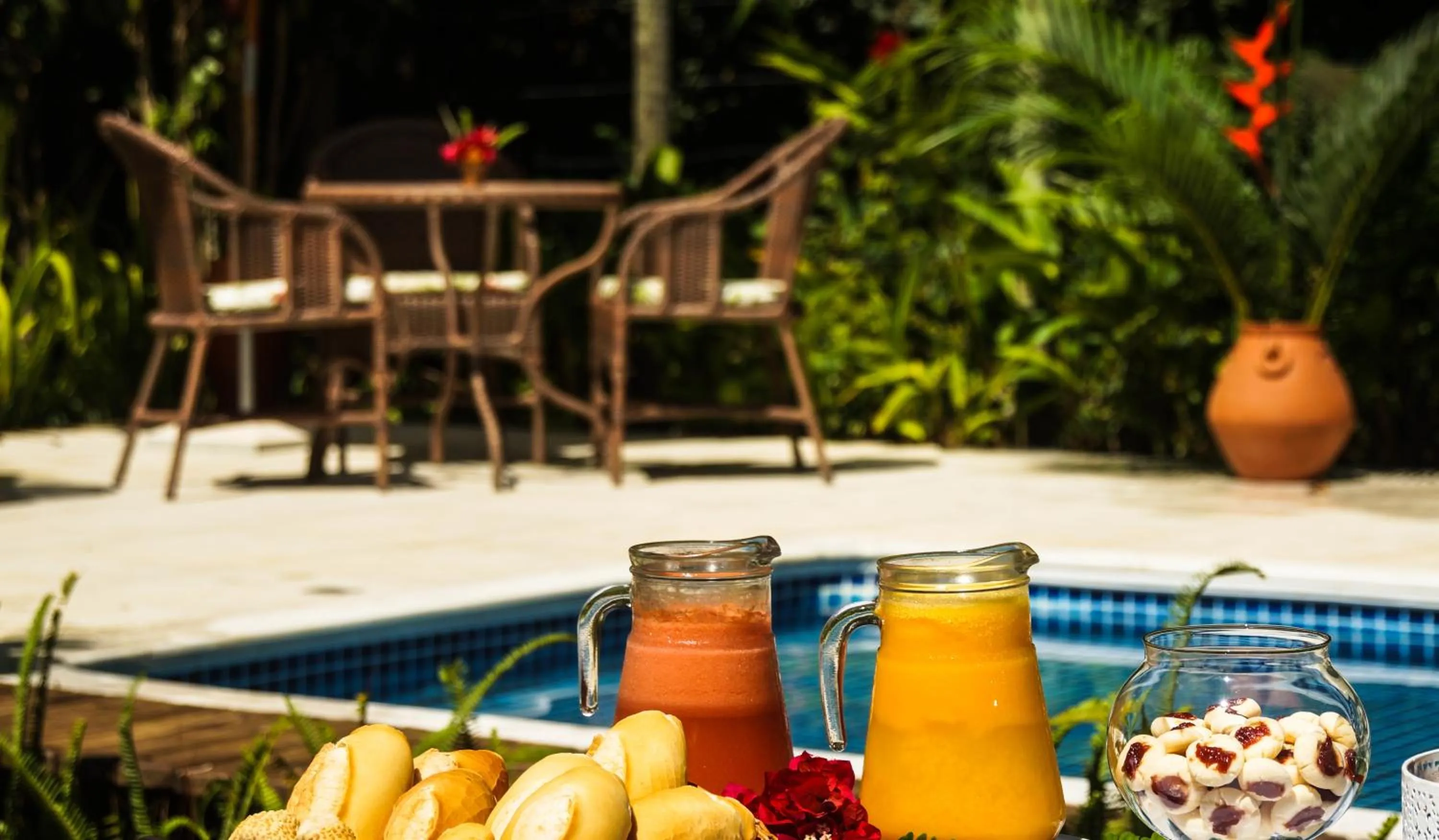 Garden view in Pousada Samambaia