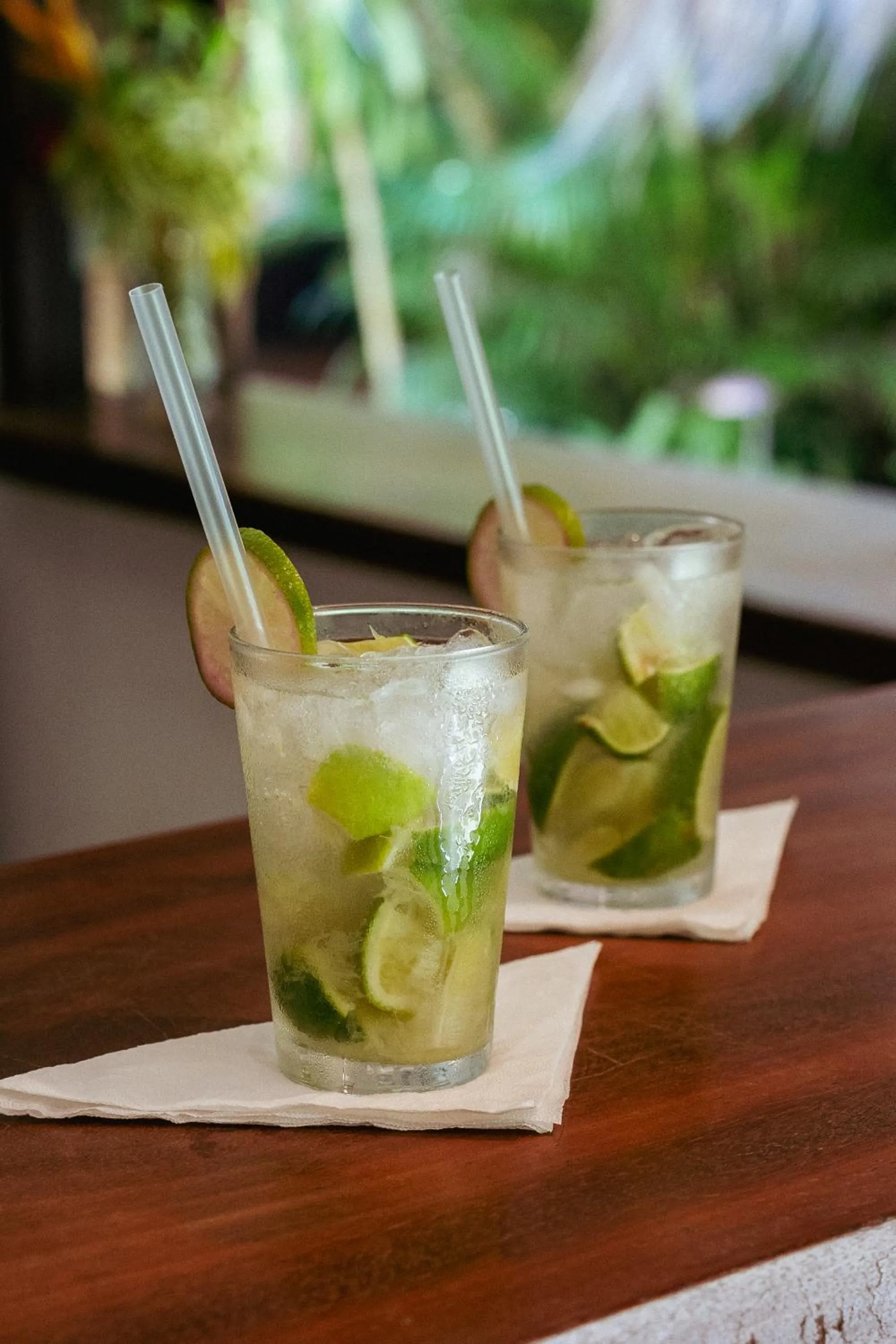 Lounge or bar in Pousada Samambaia