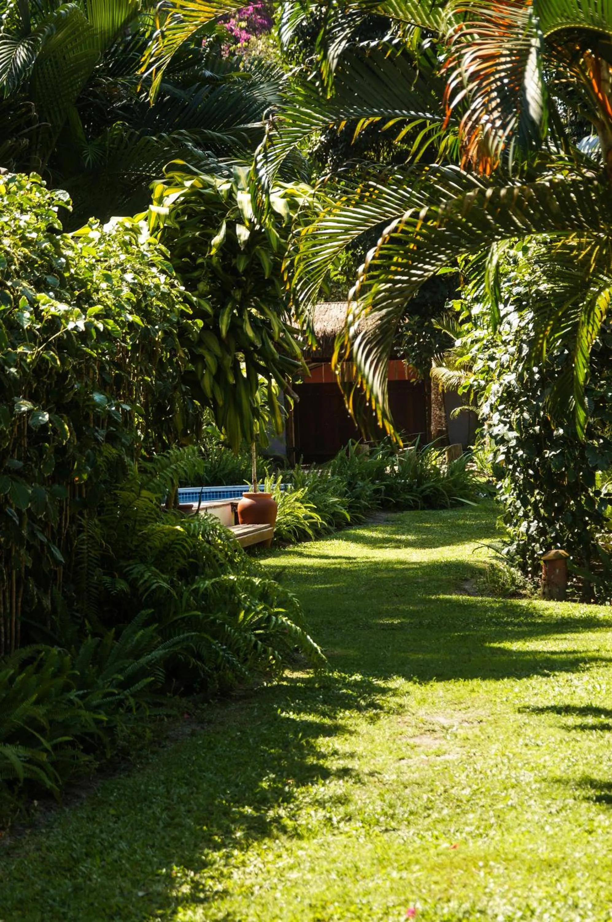 Garden in Pousada Samambaia