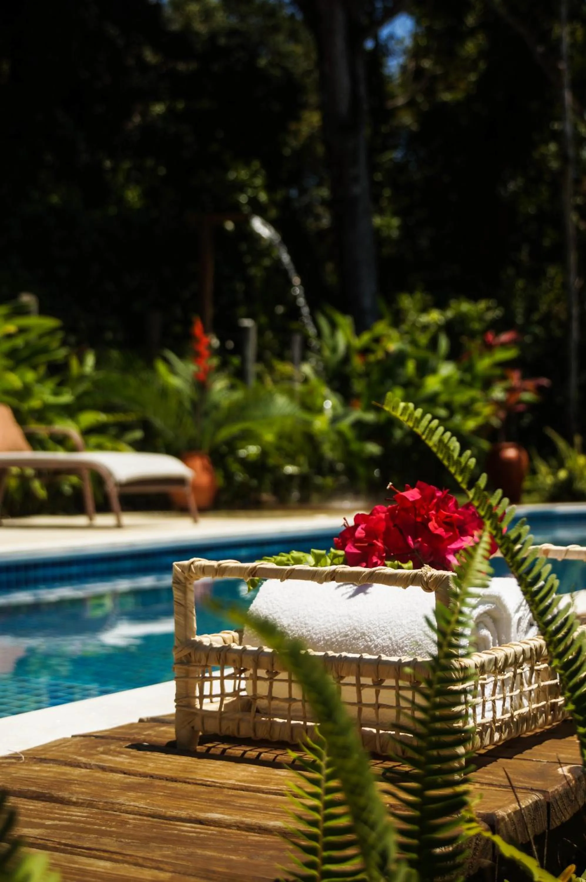 Garden view in Pousada Samambaia