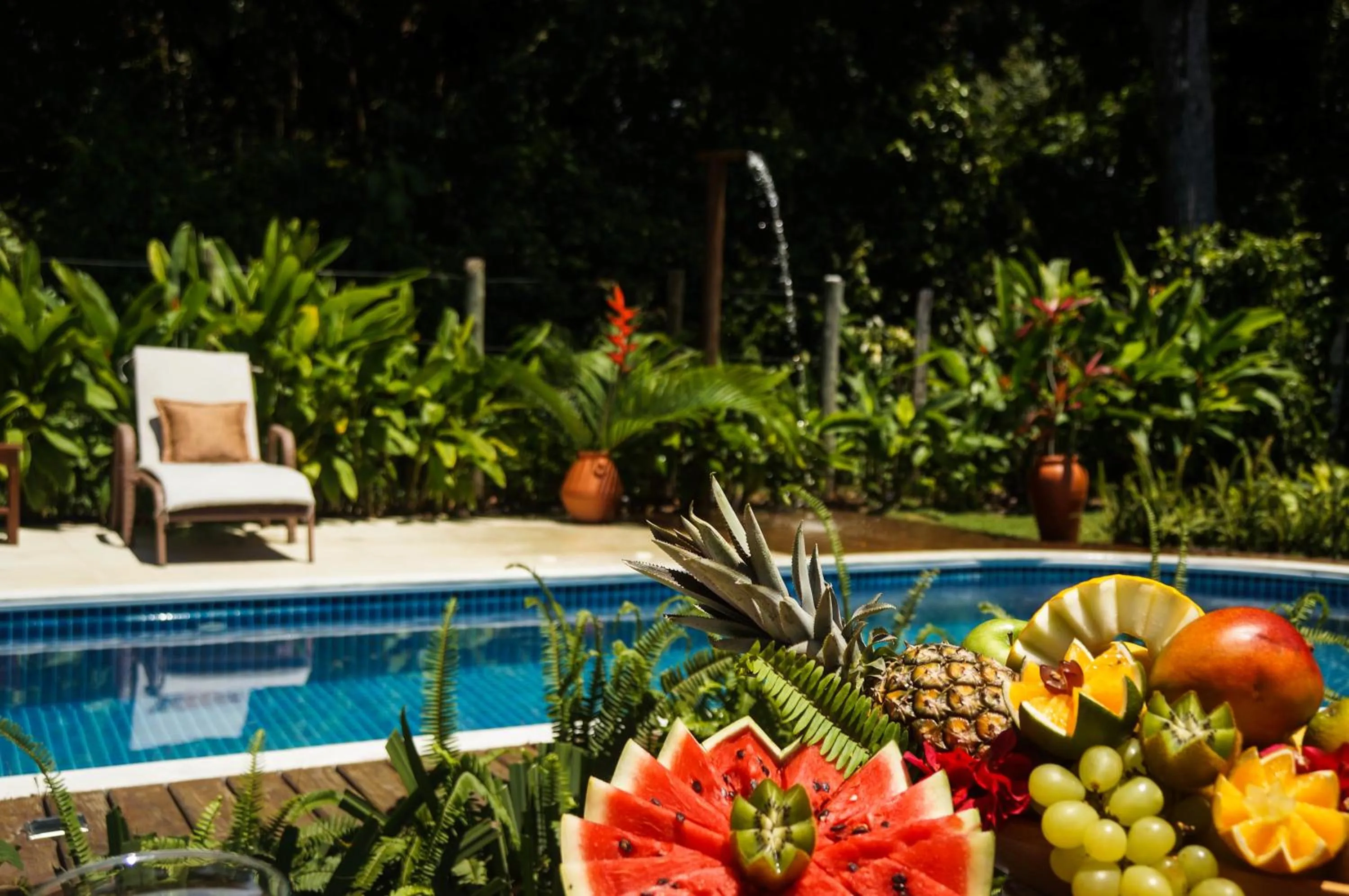 Food close-up in Pousada Samambaia