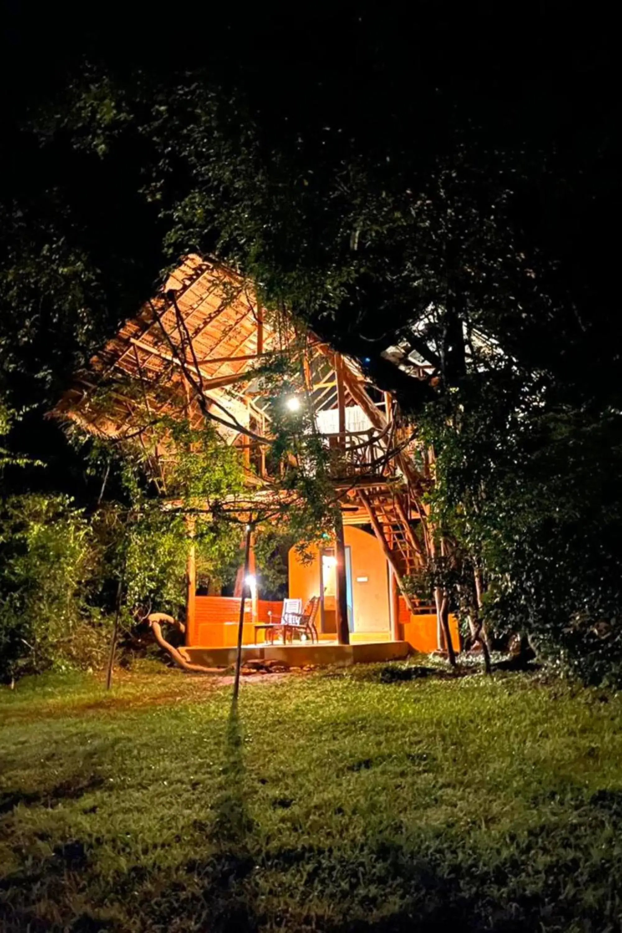 Family Tree House - single occupancy in Back of Beyond - Wild Haven Family Tree House - single occupancy in Back of Beyond - Wild Haven