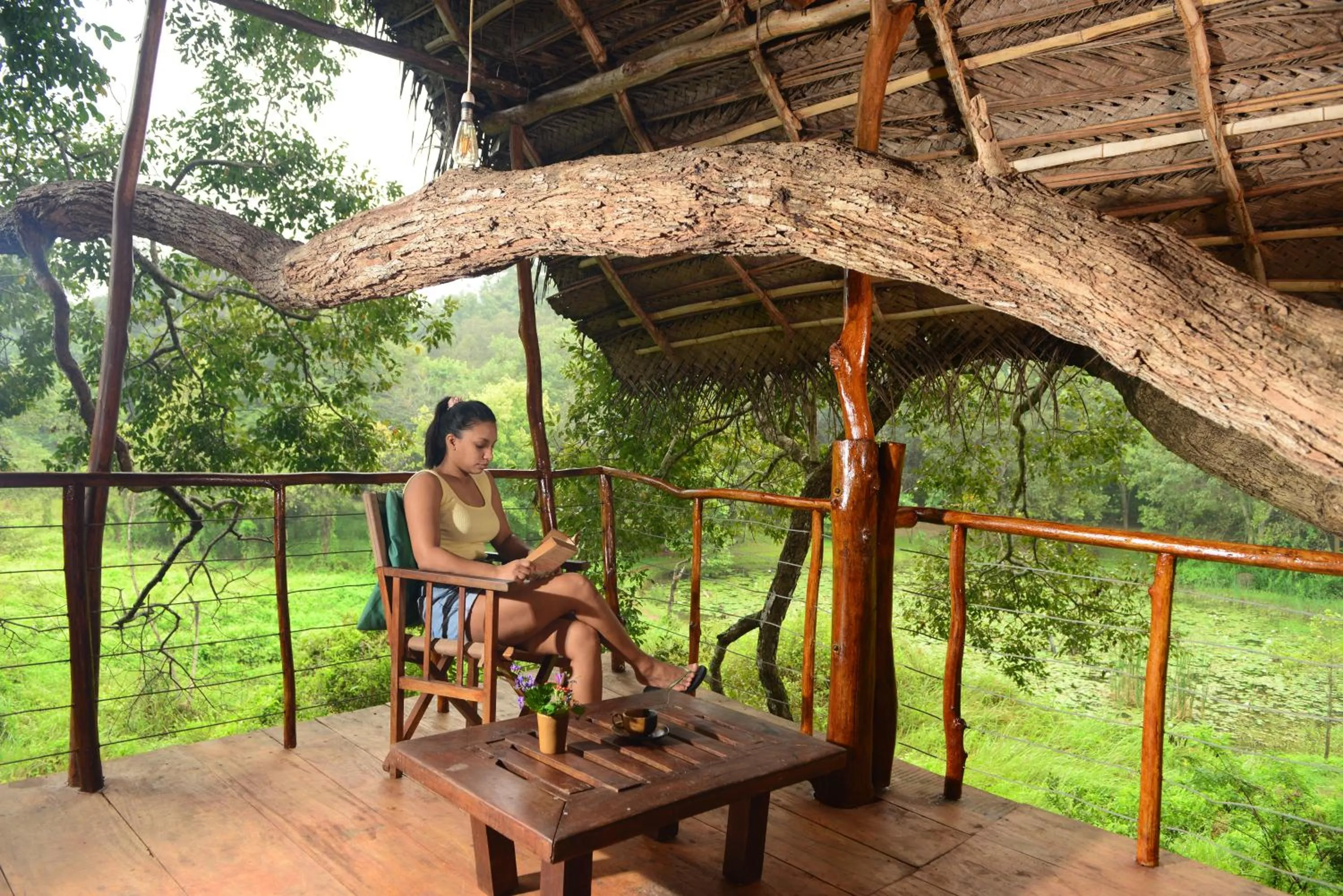 View (from property/room) in Back of Beyond - Wild Haven