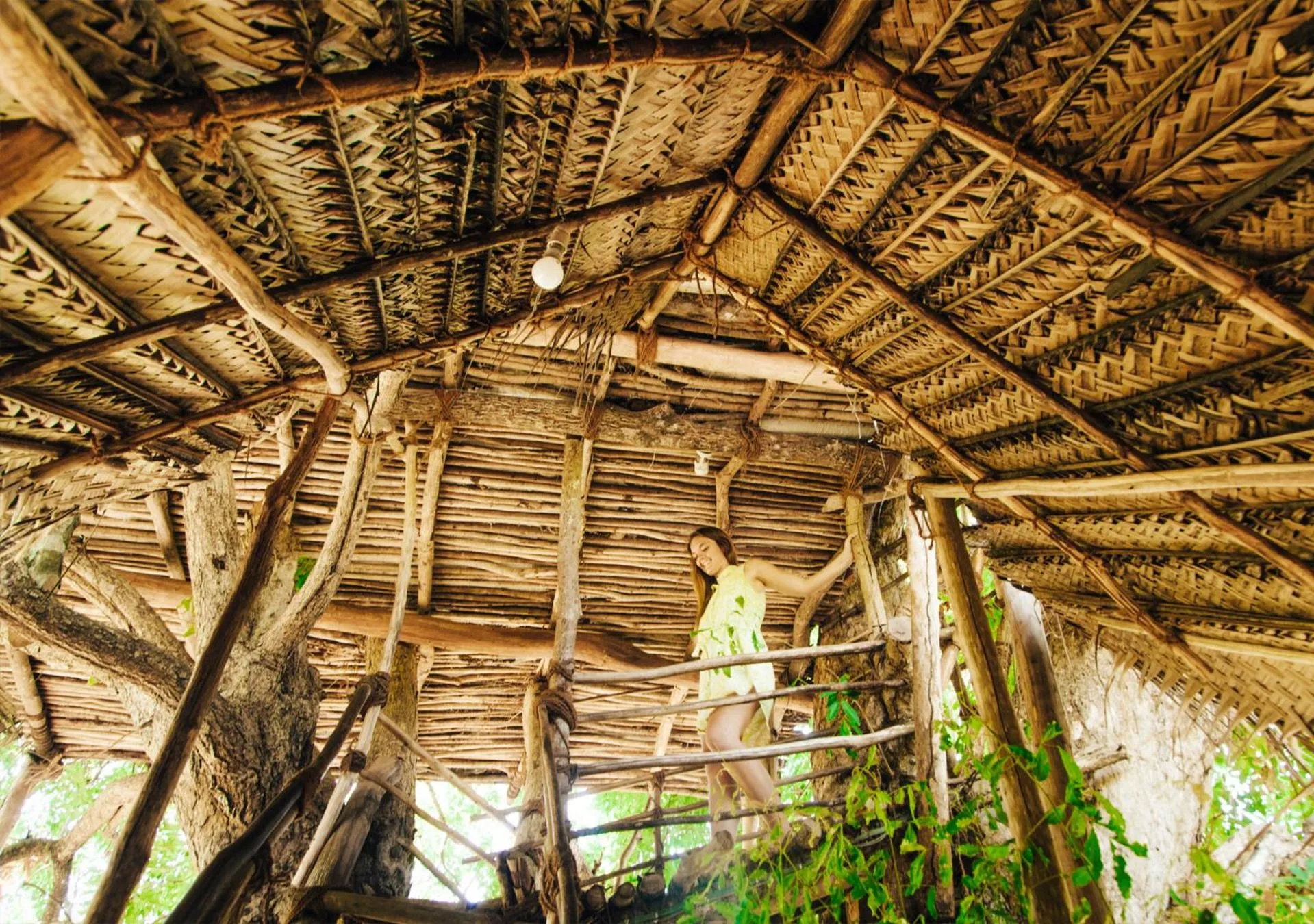 Area and facilities in Back of Beyond - Wild Haven