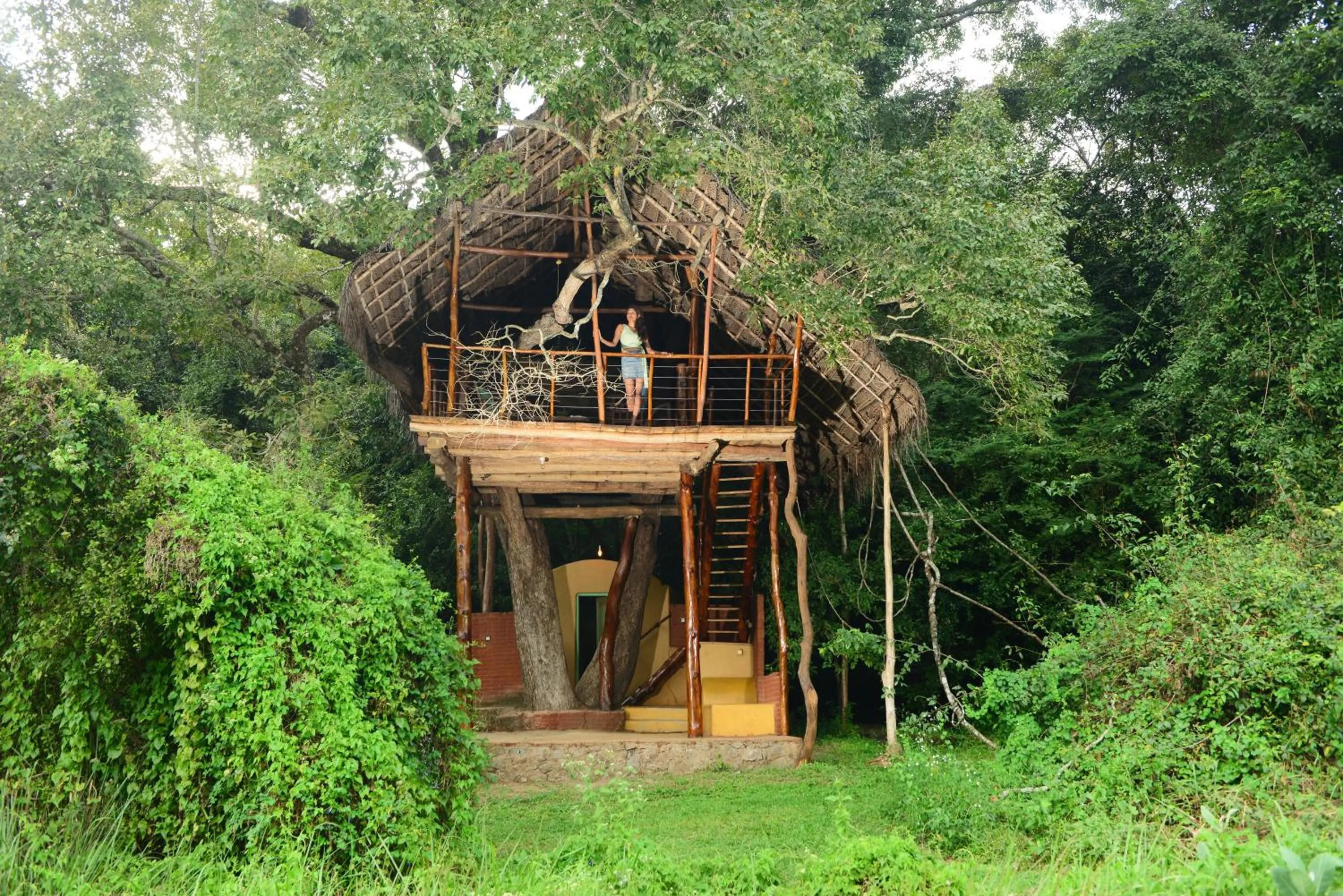 Property building in Back of Beyond - Wild Haven