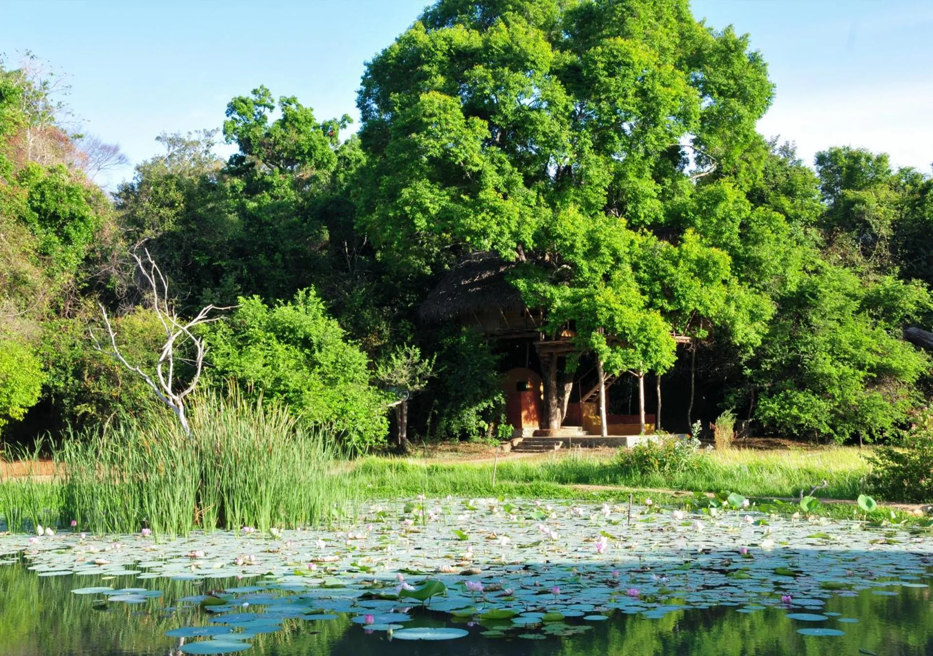 Day in Back of Beyond - Wild Haven