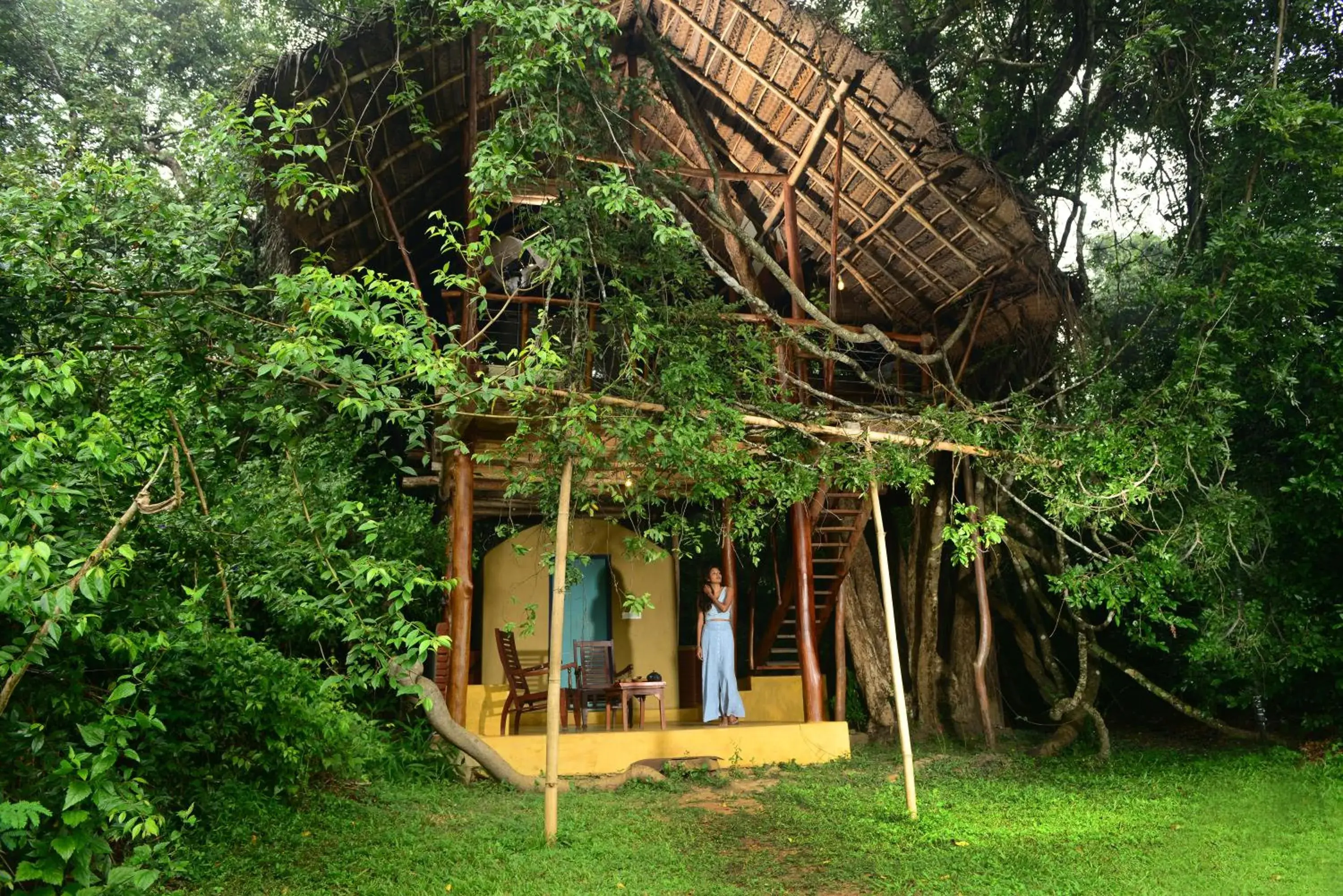 Family Tree House - single occupancy in Back of Beyond - Wild Haven Family Tree House - single occupancy in Back of Beyond - Wild Haven