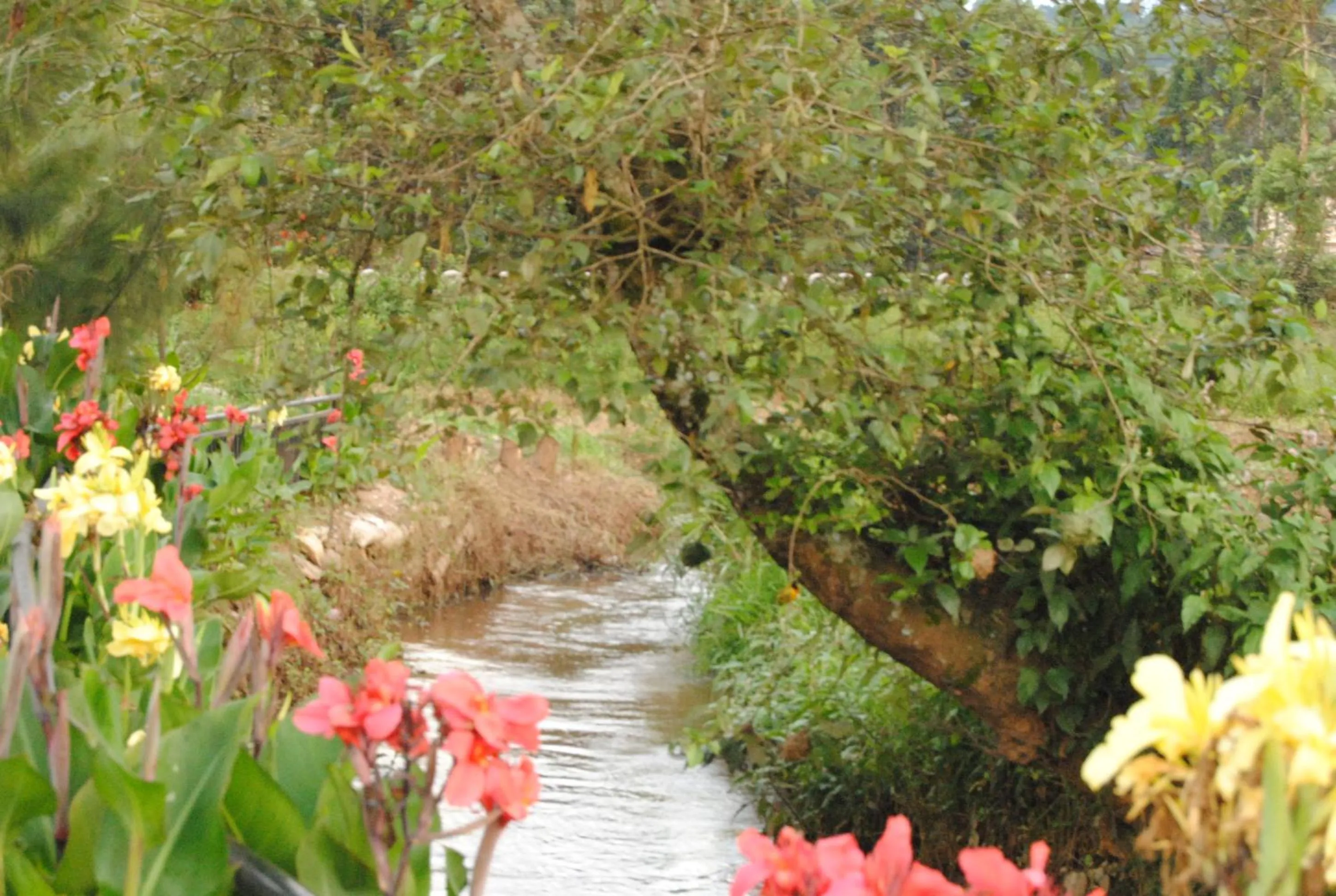 Property building in Riverside Resort Hotel Kabale