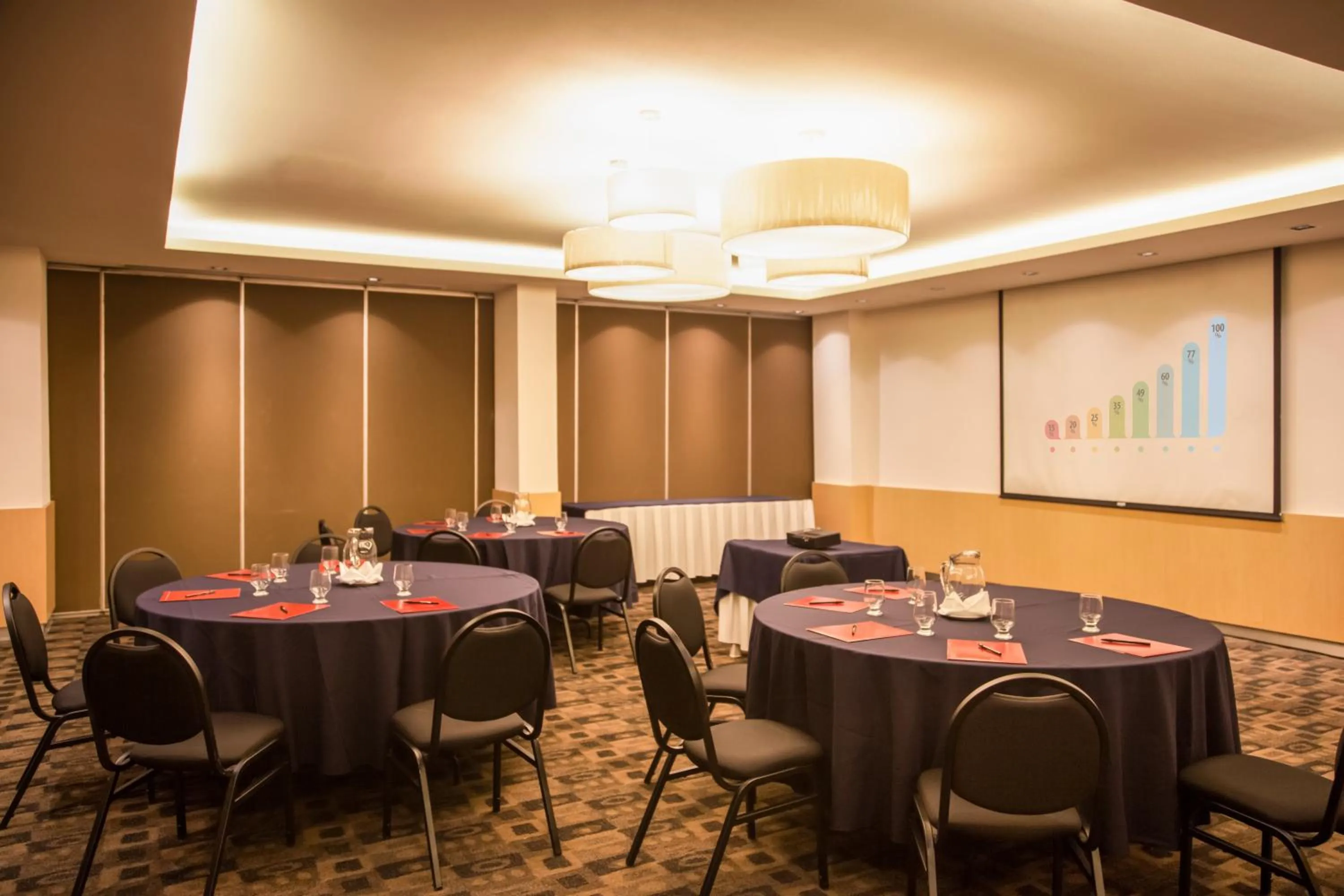 Meeting/conference room in Fiesta Inn Ciudad de México Aeropuerto