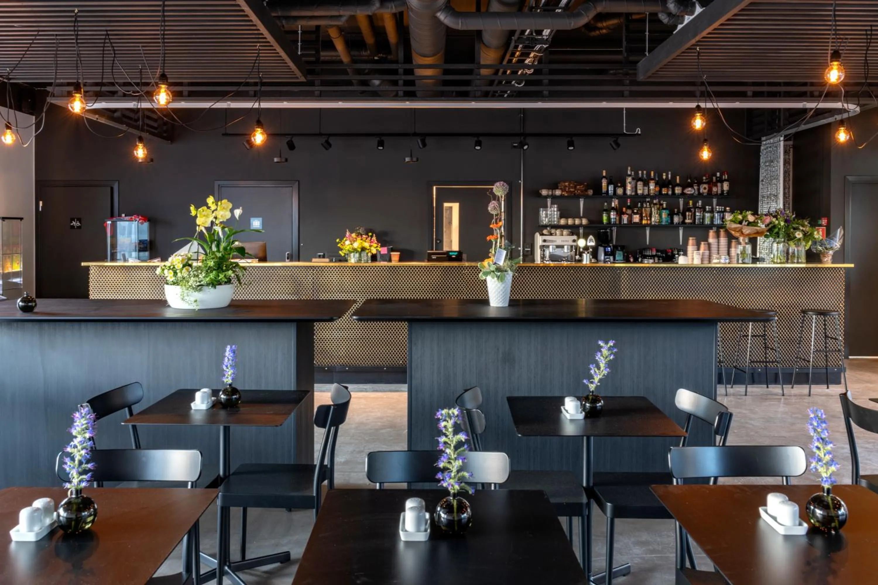 Lobby or reception in First Hotel Kokoloko