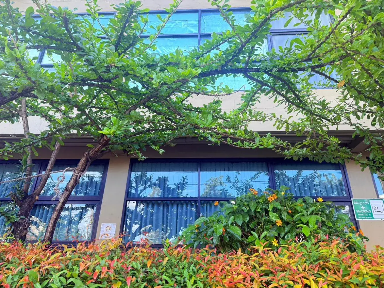 Property building in Work Den Chiangrai Property building in Work Den Chiangrai