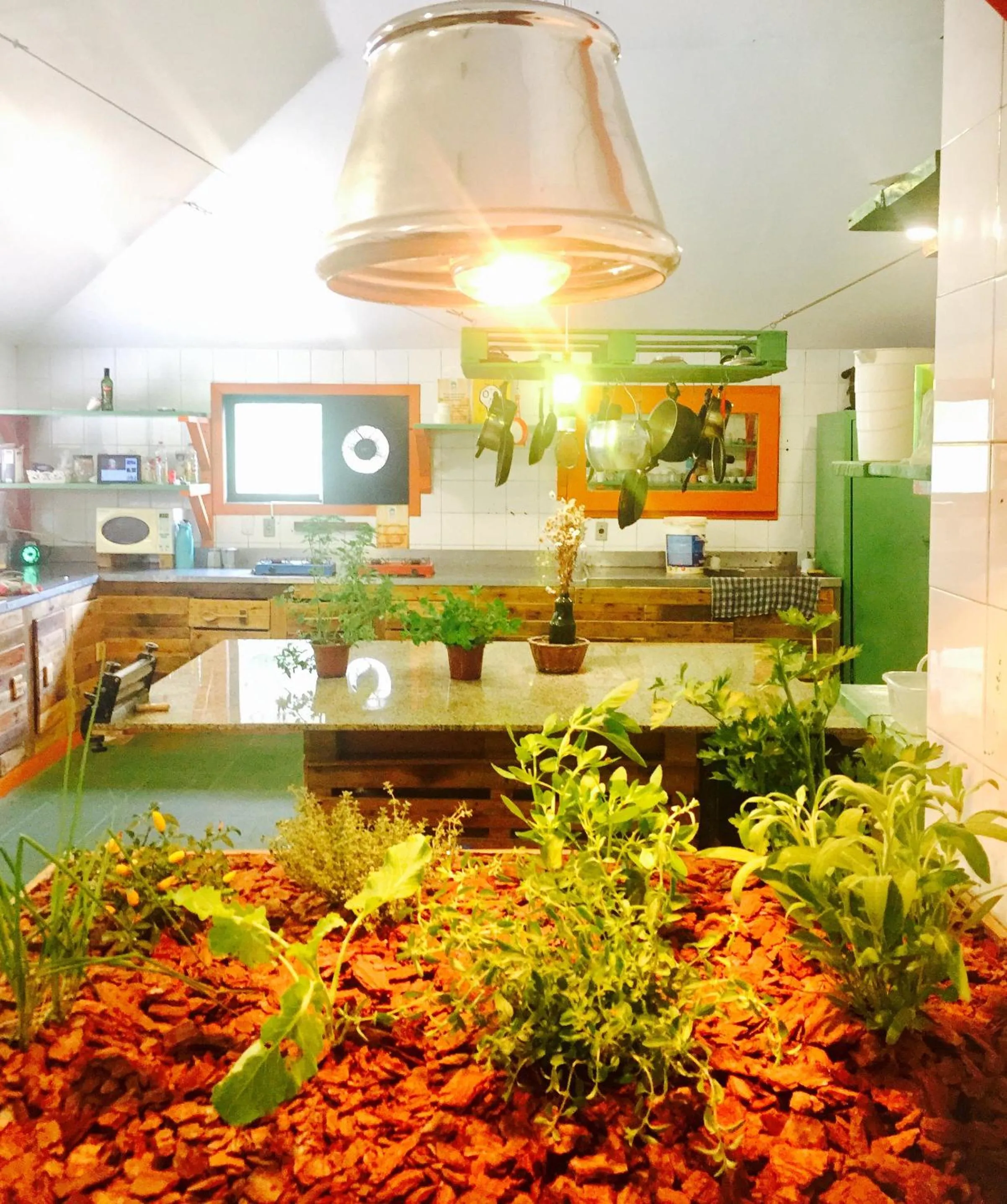 Kitchen or kitchenette in The Eco Palace Hostel