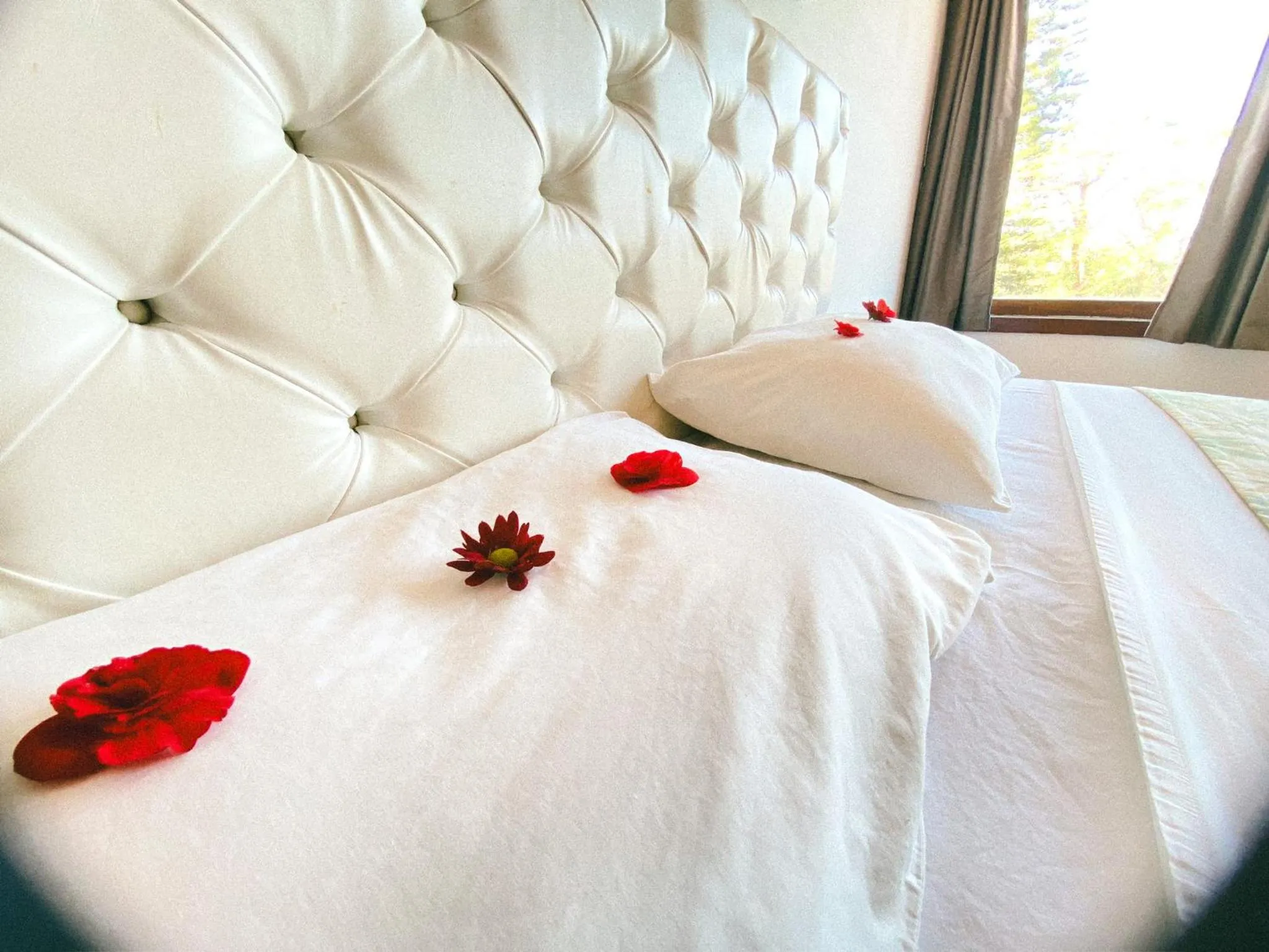 Decorative detail, Bed in The Eco Palace Hostel