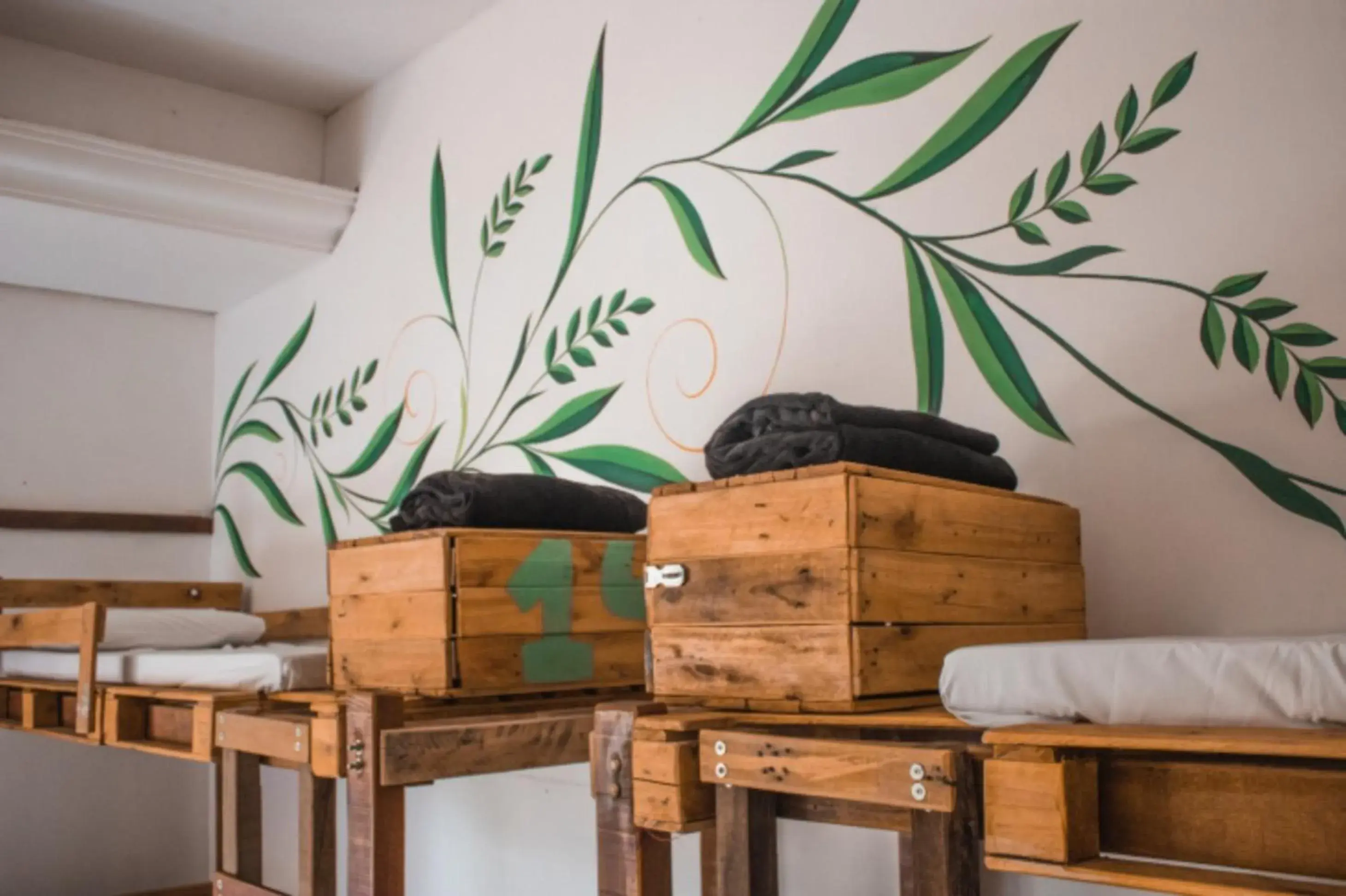 Single Bed in Female Dormitory Room in The Eco Palace Hostel Single Bed in Female Dormitory Room in The Eco Palace Hostel