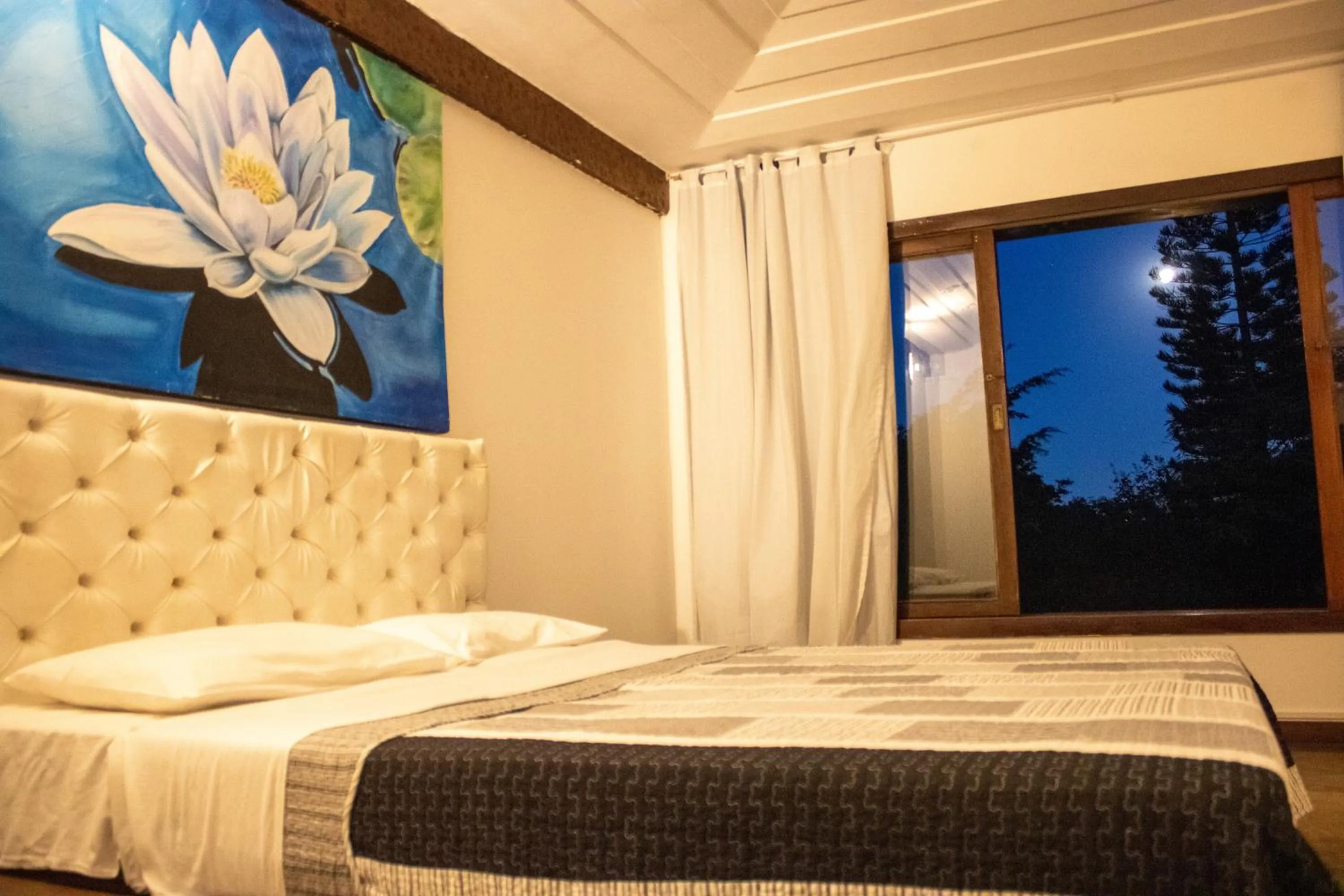 Bed in The Eco Palace Hostel