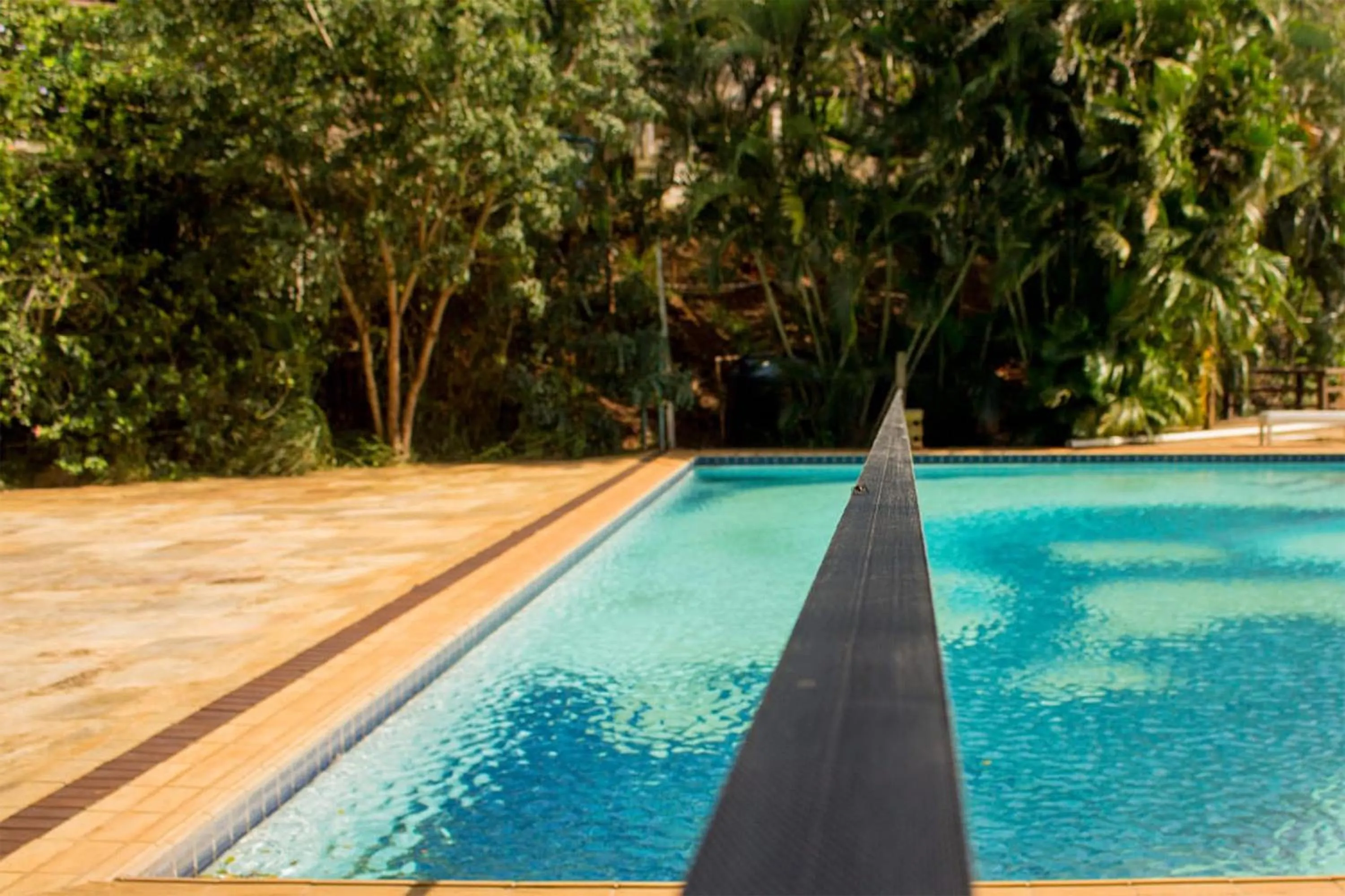 Swimming pool in The Eco Palace Hostel