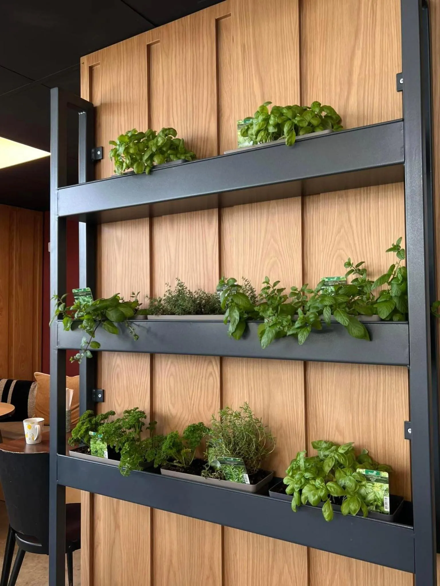 Restaurant/places to eat in Greet hotel Bourg-en-Bresse Sud Montagnat