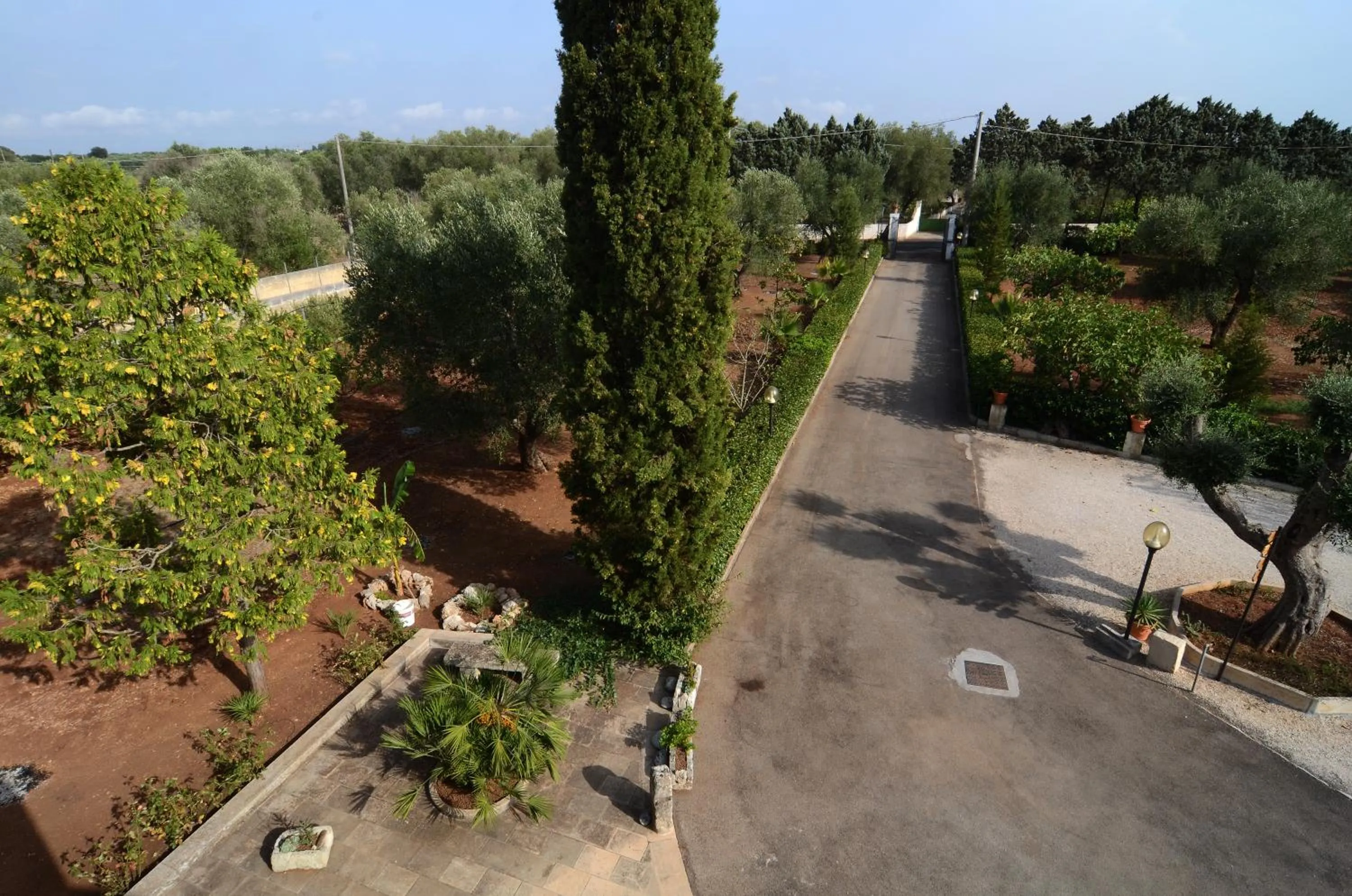 Garden in B&B Villa Vittoria