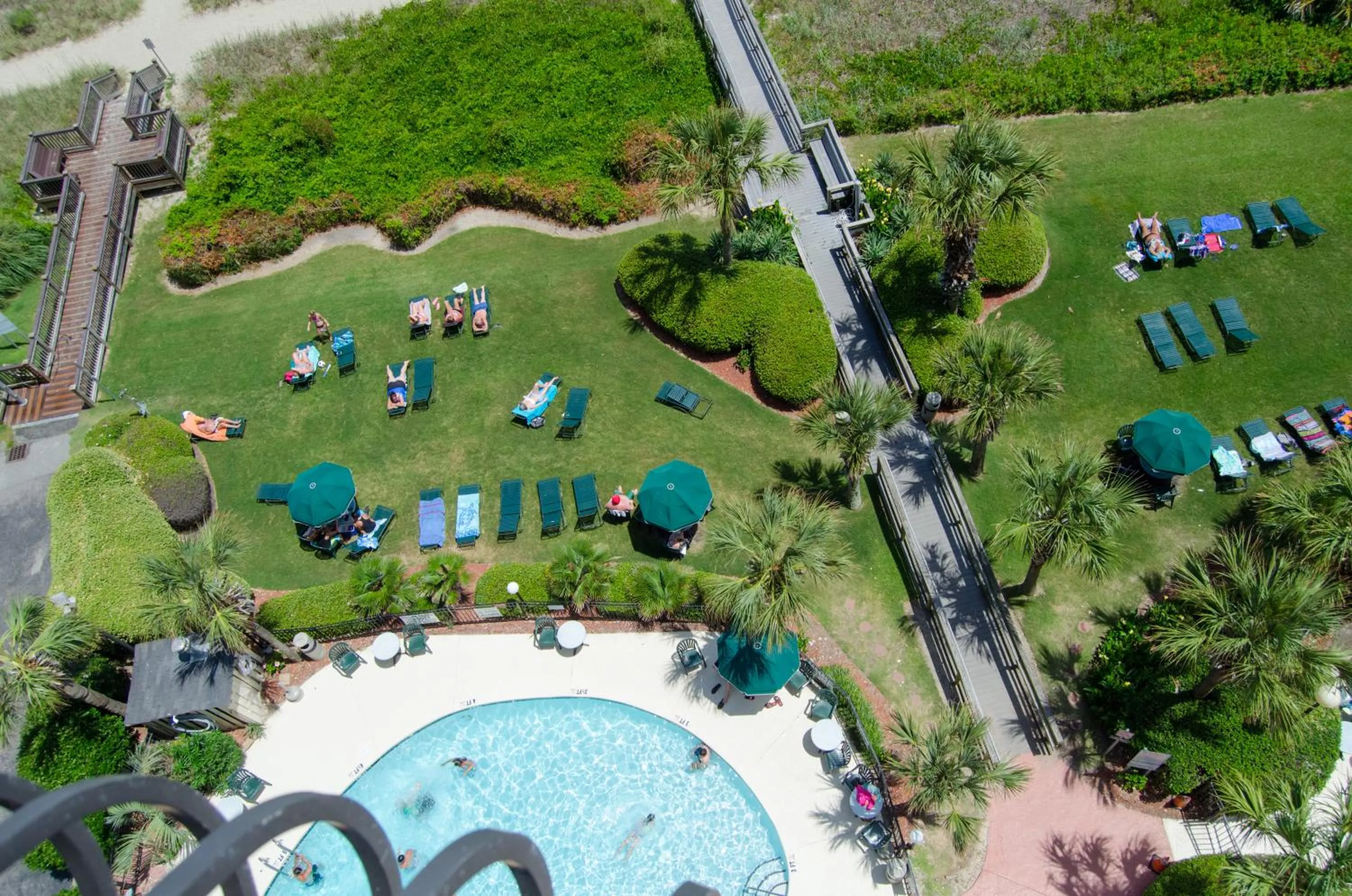 Swimming pool in Palms Resort