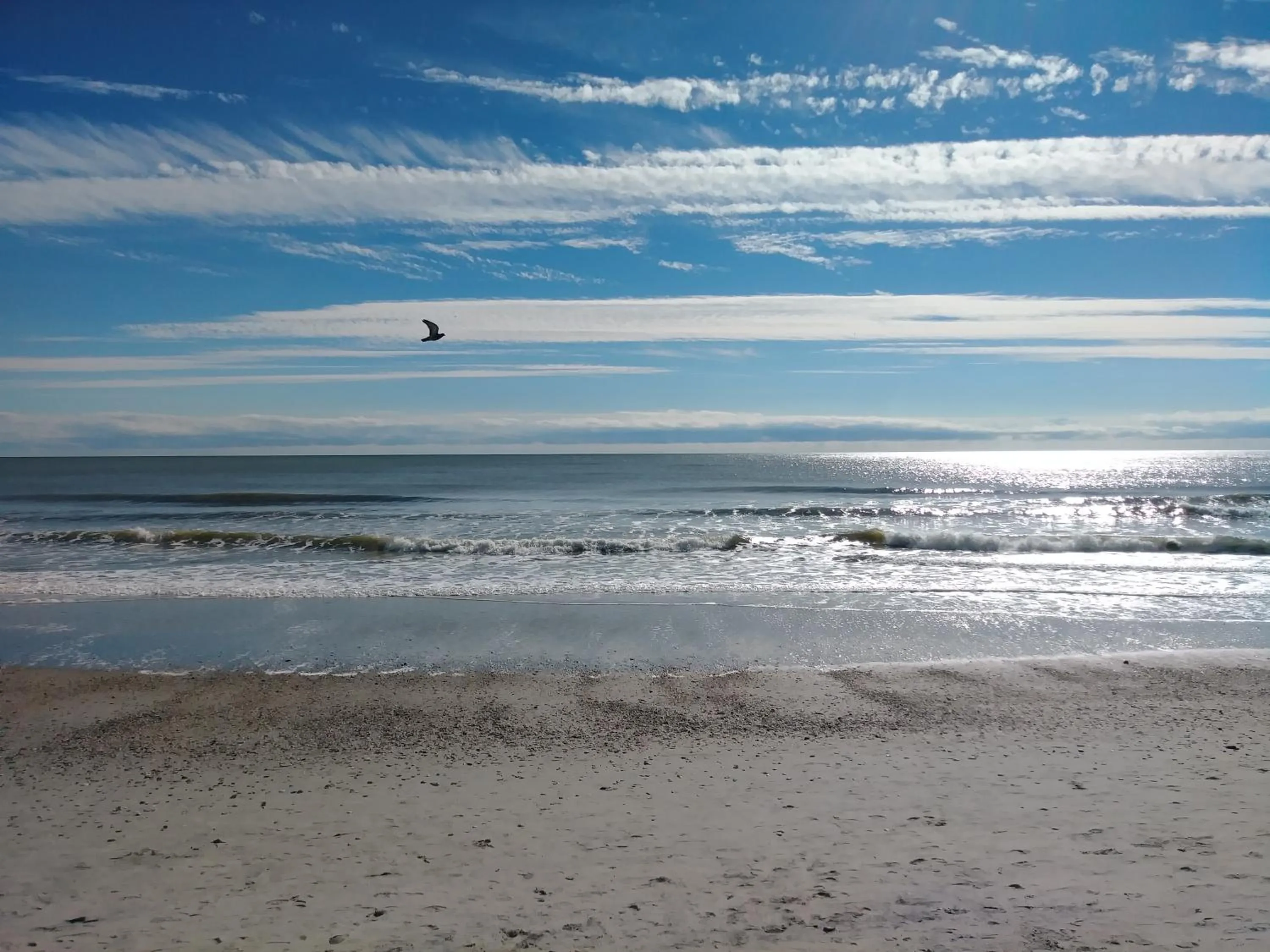 Beach in Palms Resort