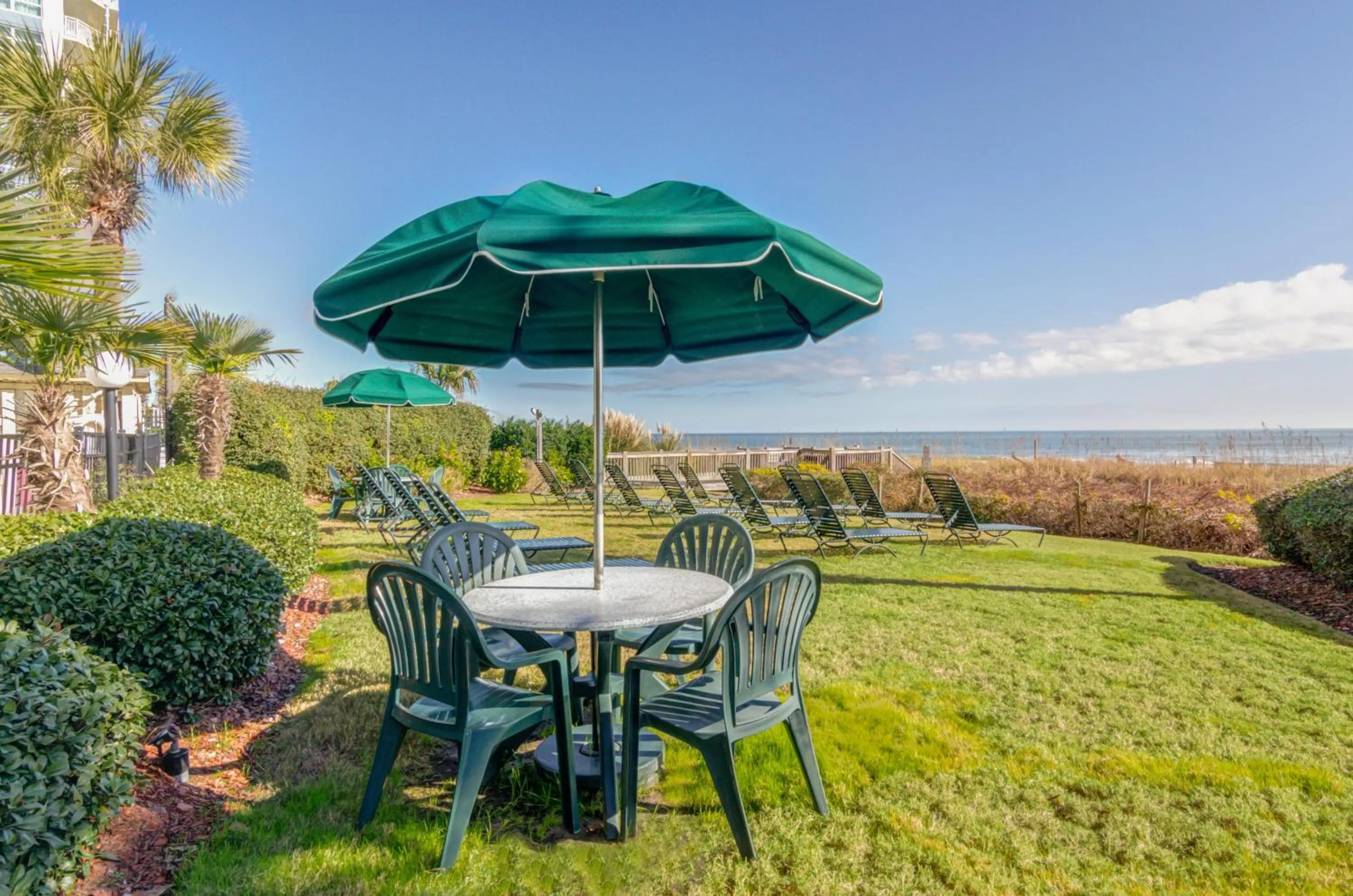 View (from property/room) in Palms Resort