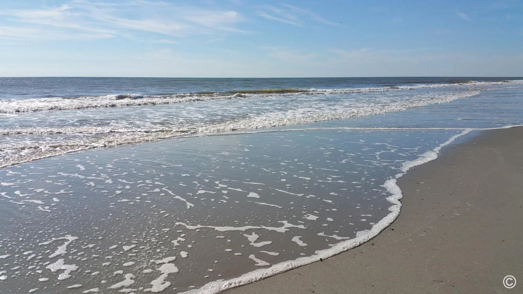 Beach in Palms Resort