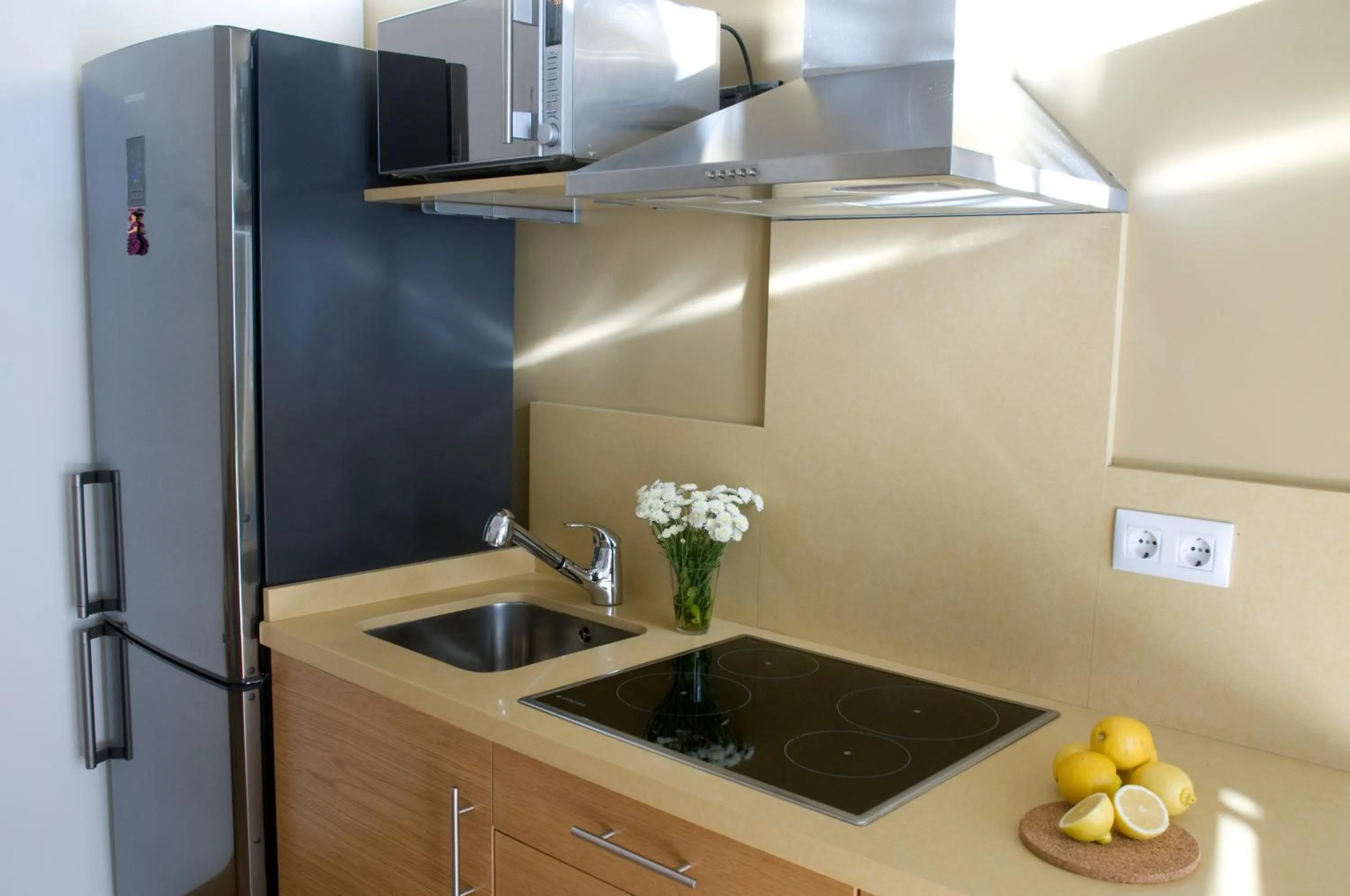 Kitchen or kitchenette in Life Apartments Quintana