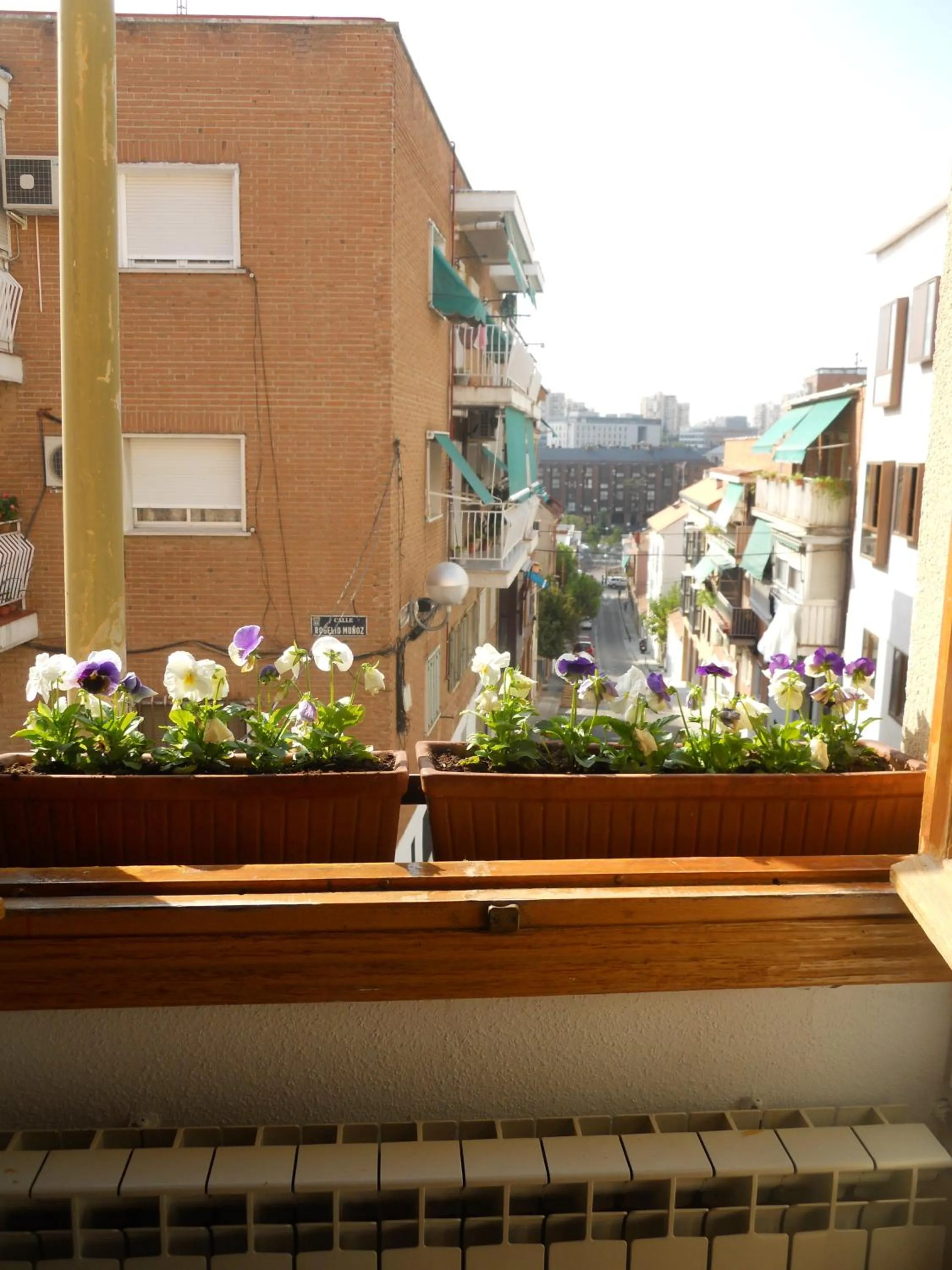 View (from property/room) in Hostal El Descanso
