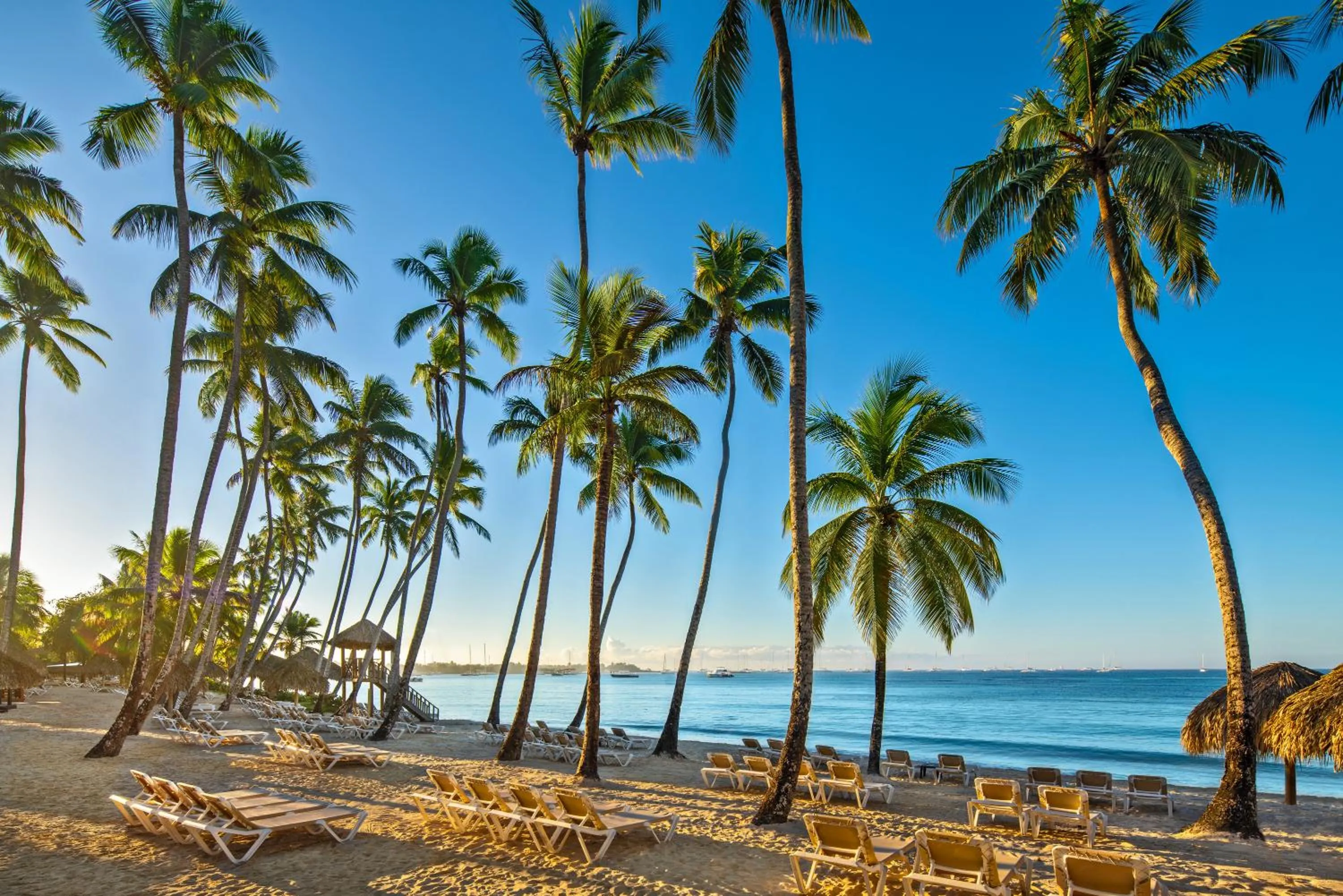 Beach in Secrets La Romana All-Inclusive Adult Only Resort & Spa