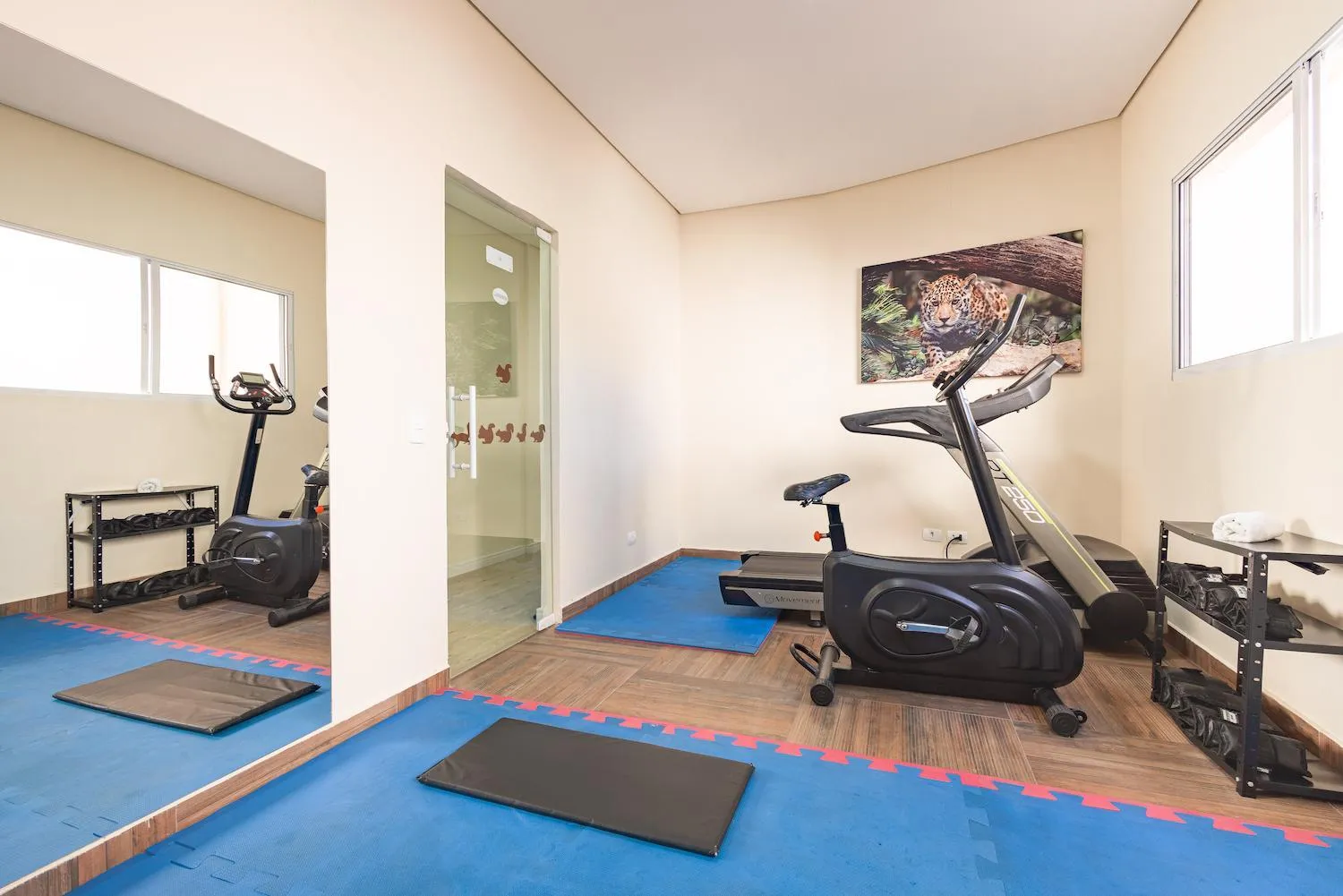 Fitness centre/facilities in Kaliman Pousada Campos do Jordão