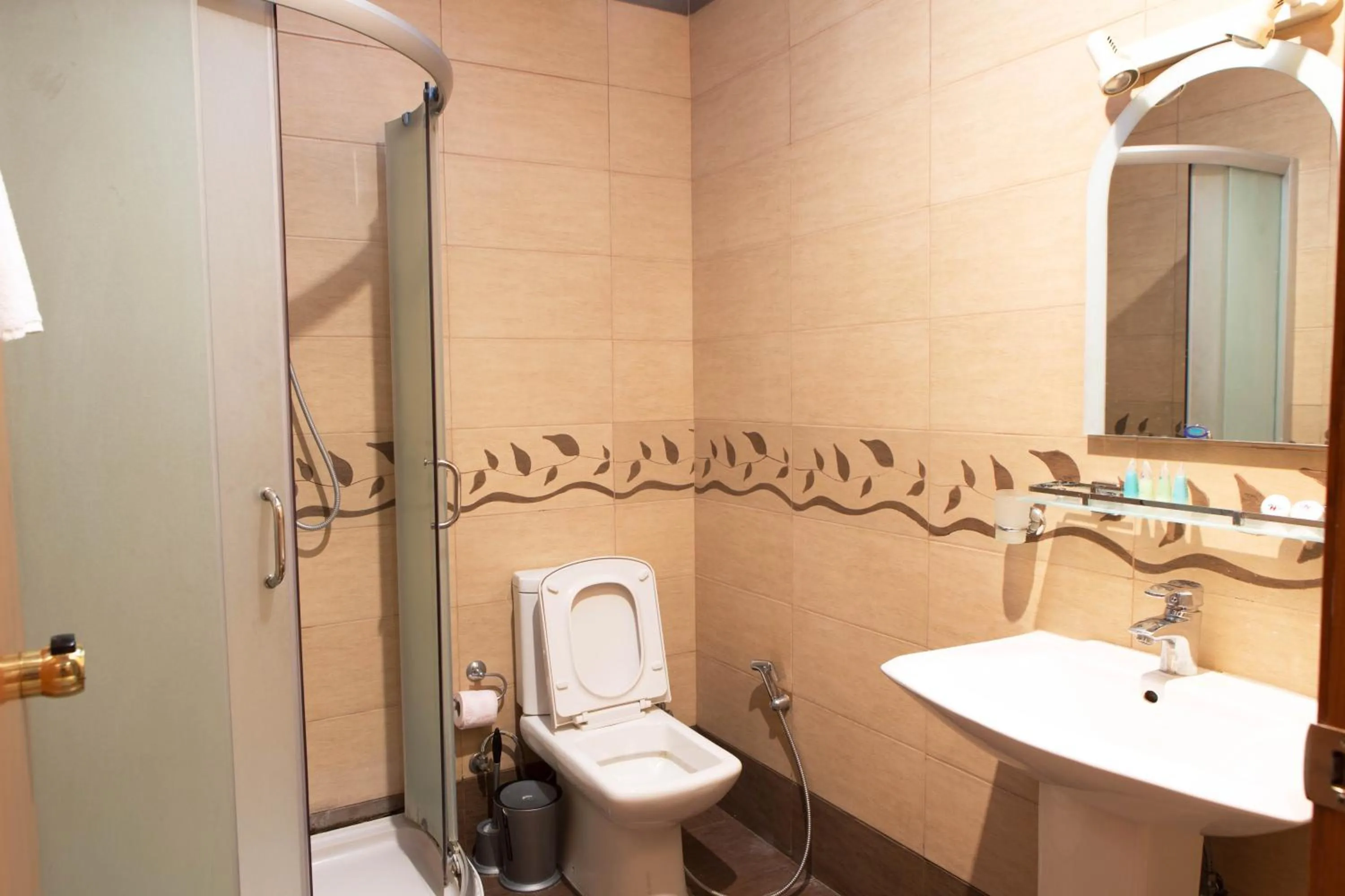 Bathroom in Abu Arena Hall