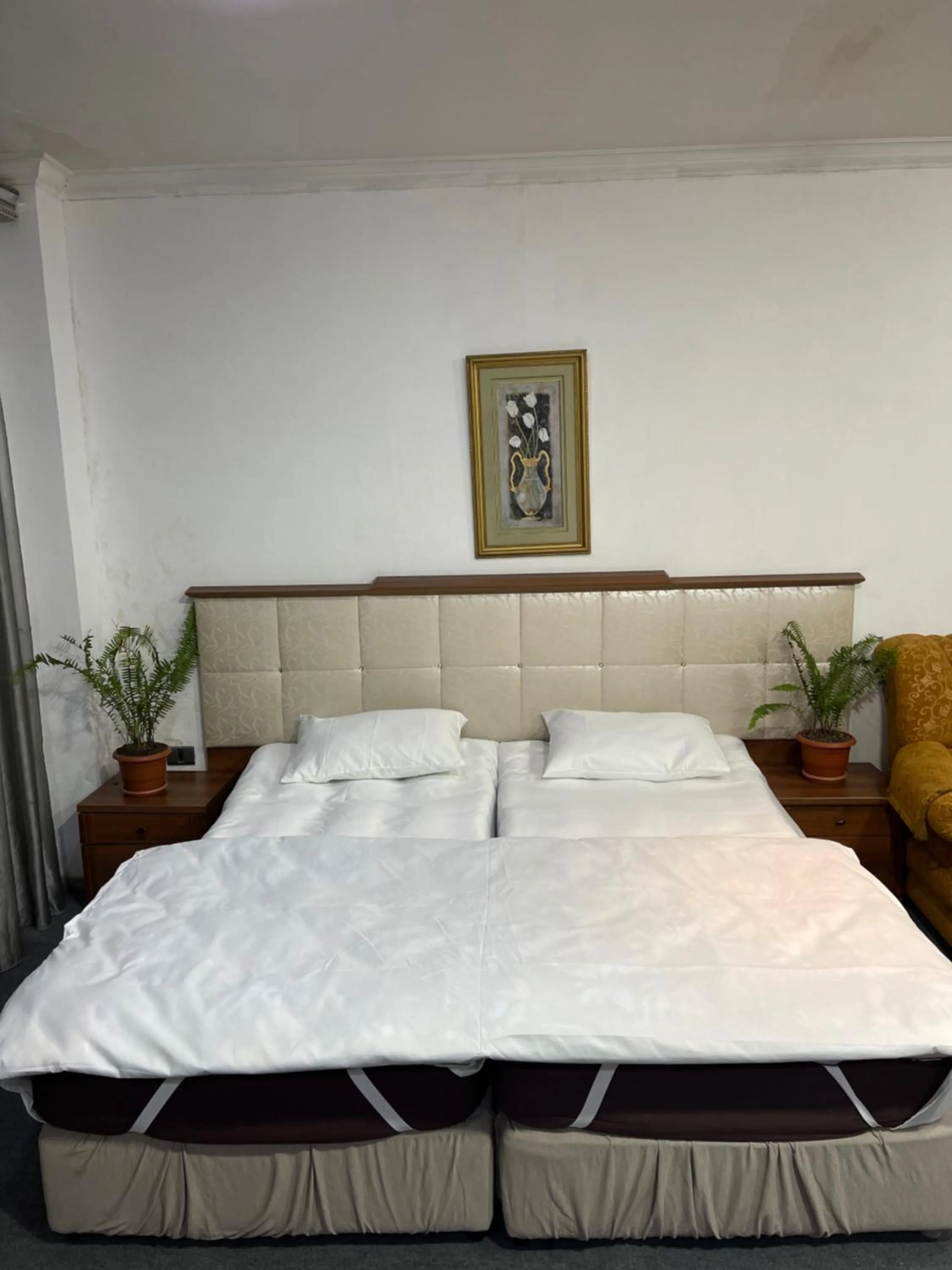 Bed in Abu Arena Hall